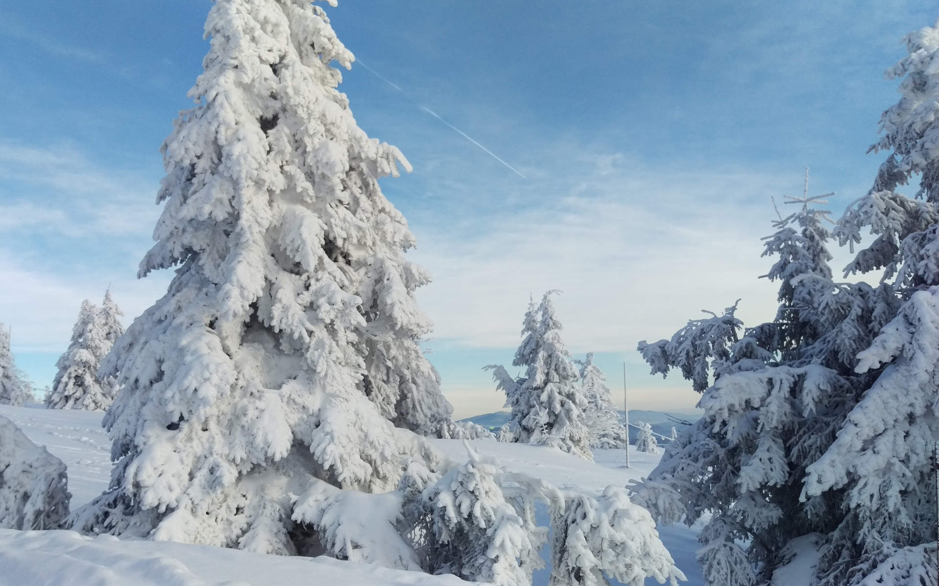 唯美冬日雪景图片手机壁纸图片