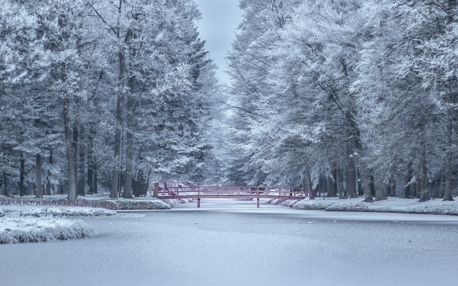 郑秀妍日本函馆冬日雪景唯美写真图片图片