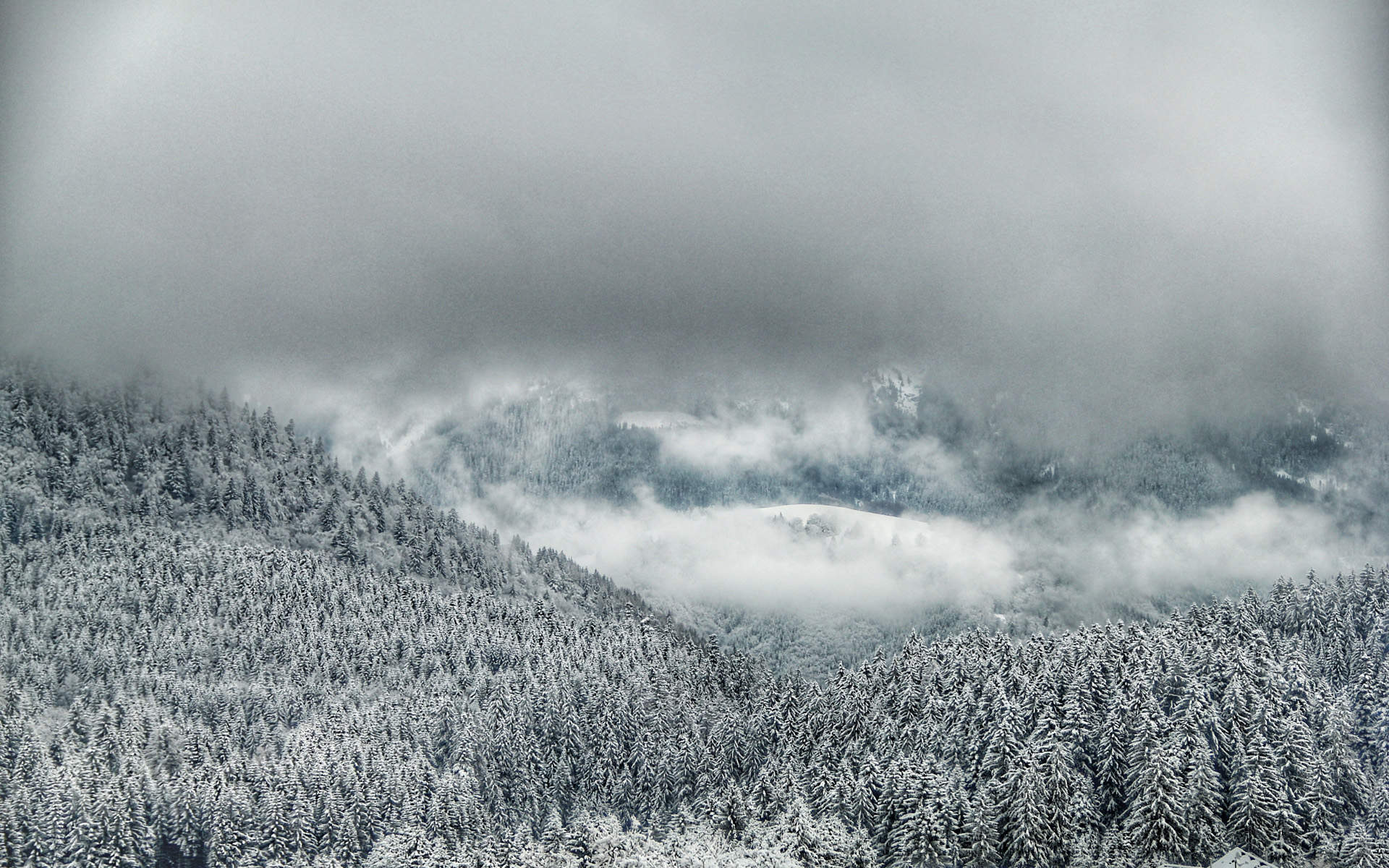 郑秀妍日本函馆冬日雪景唯美写真图片图片