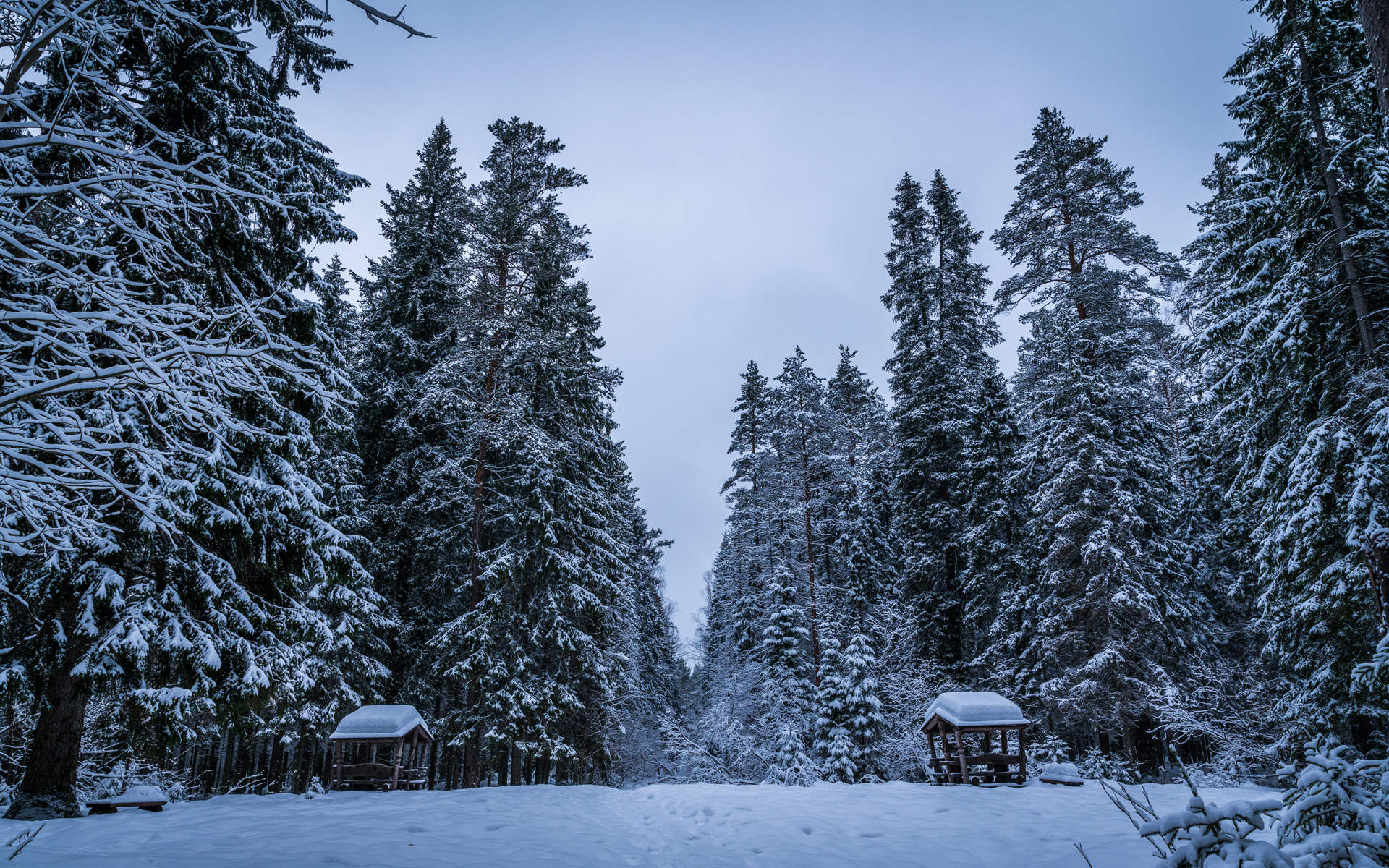 郑秀妍日本函馆冬日雪景唯美写真图片图片