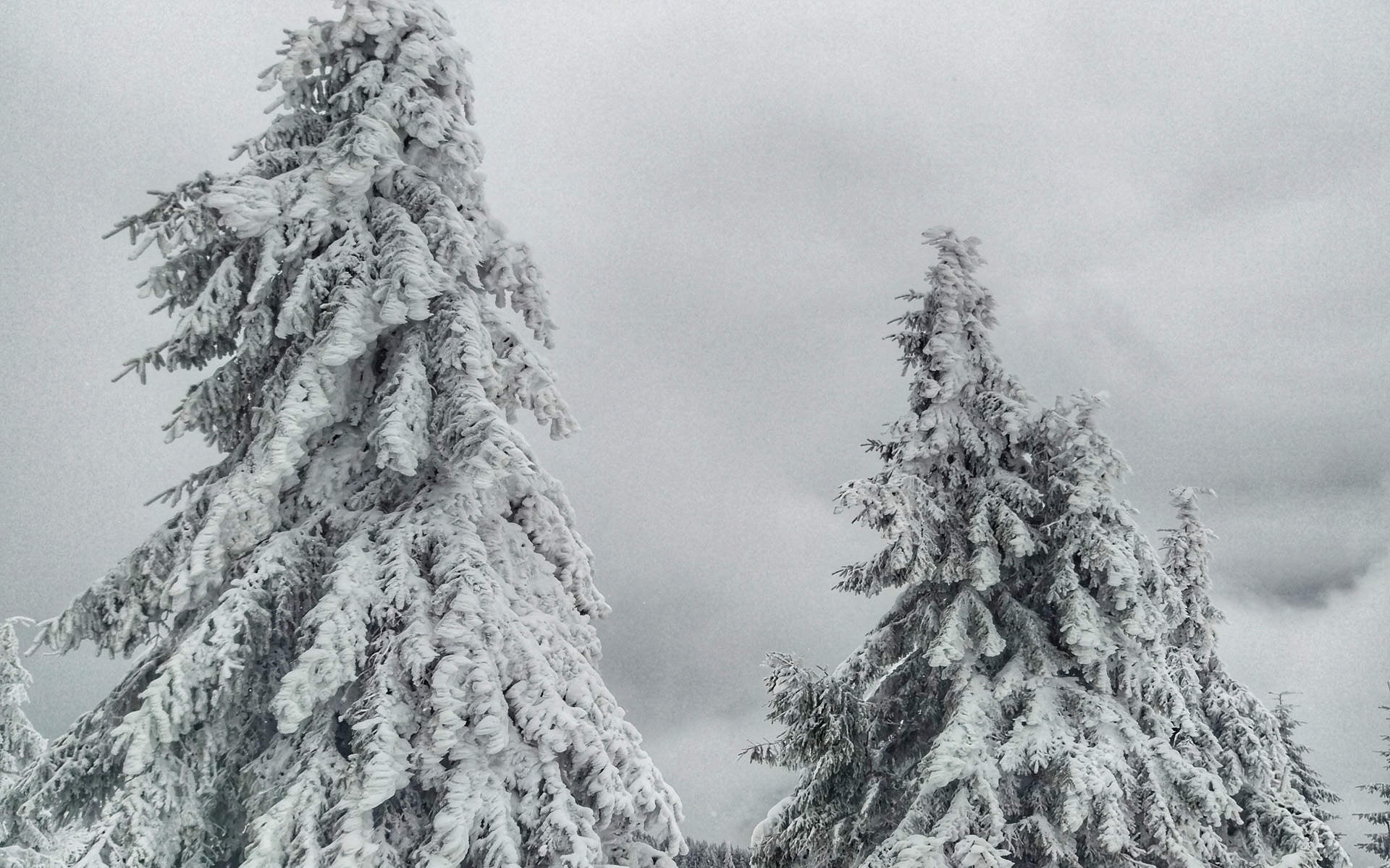 郑秀妍日本函馆冬日雪景唯美写真图片图片