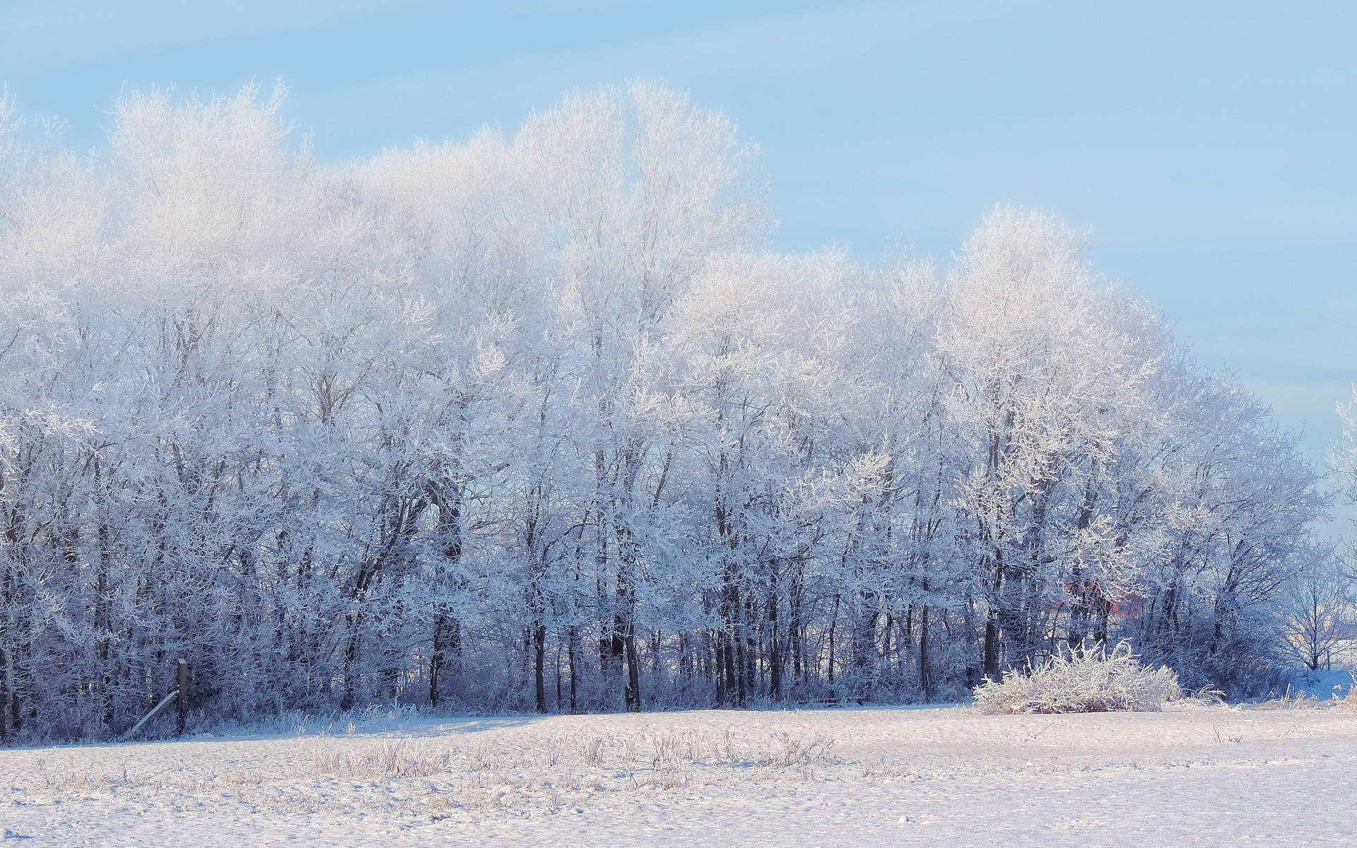 24节气立冬唯美冬日雪景桌面壁纸图片