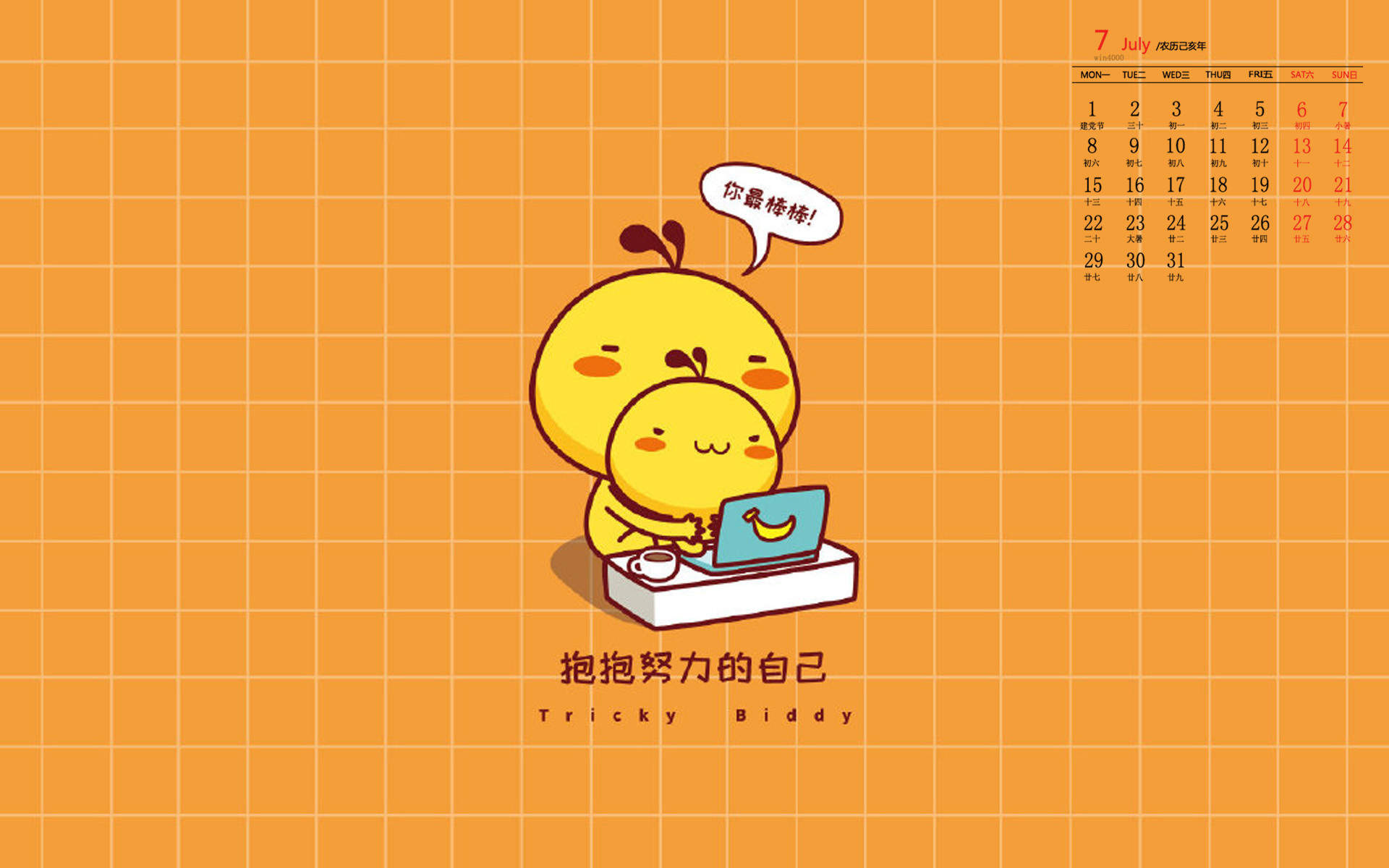 国家公园的猴子可爱图片 十二生肖猴图片