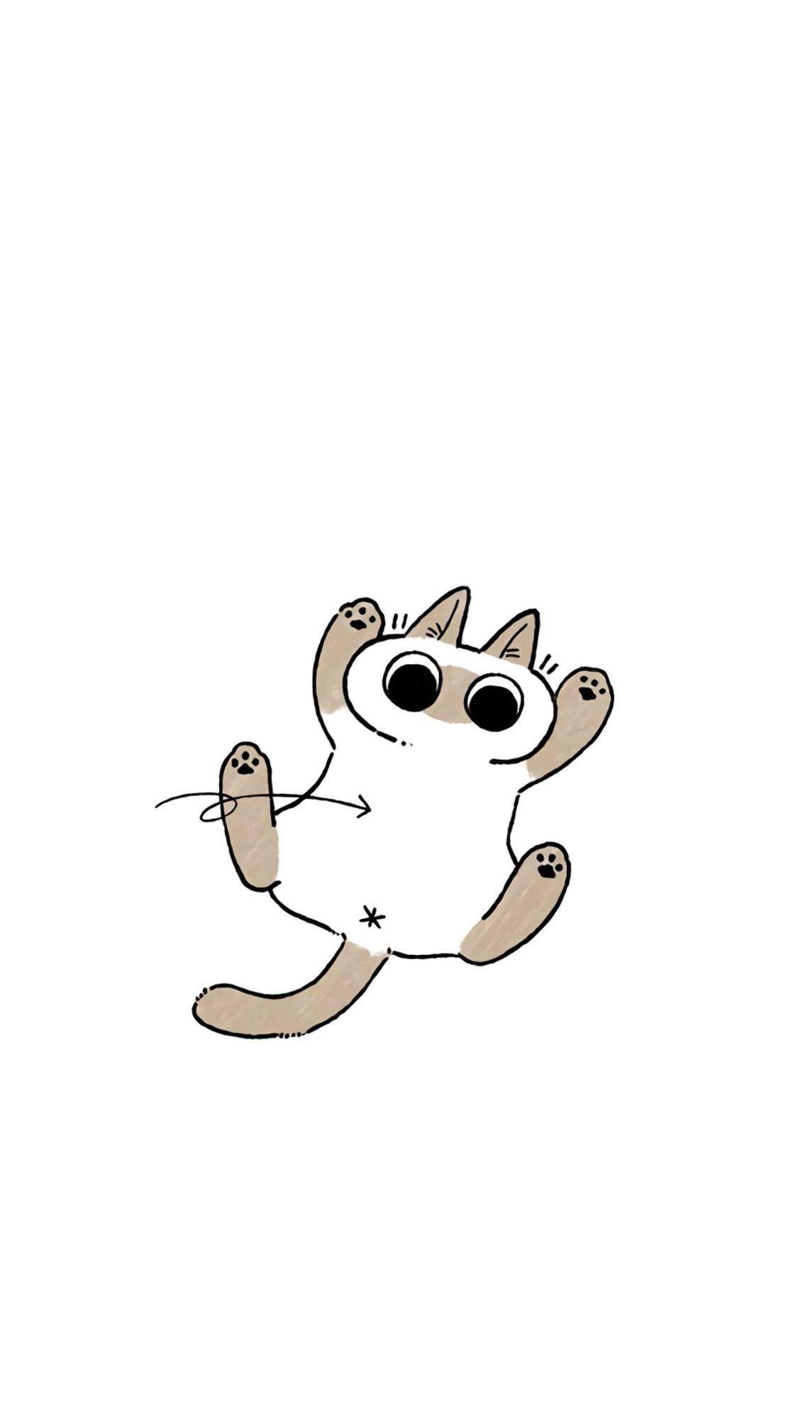 小猫图片