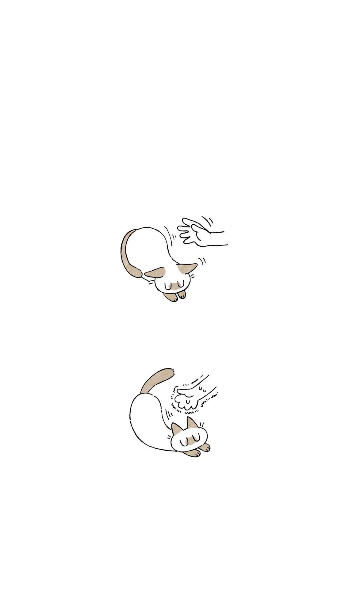 小猫图片