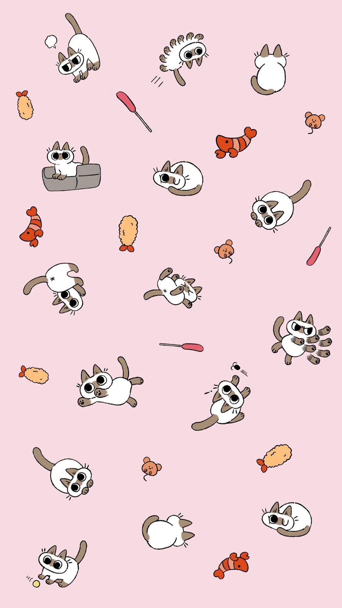 小猫图片