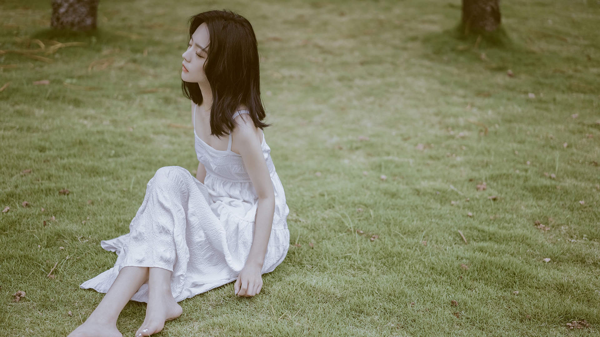 旧金山海边的浪漫情人节图片