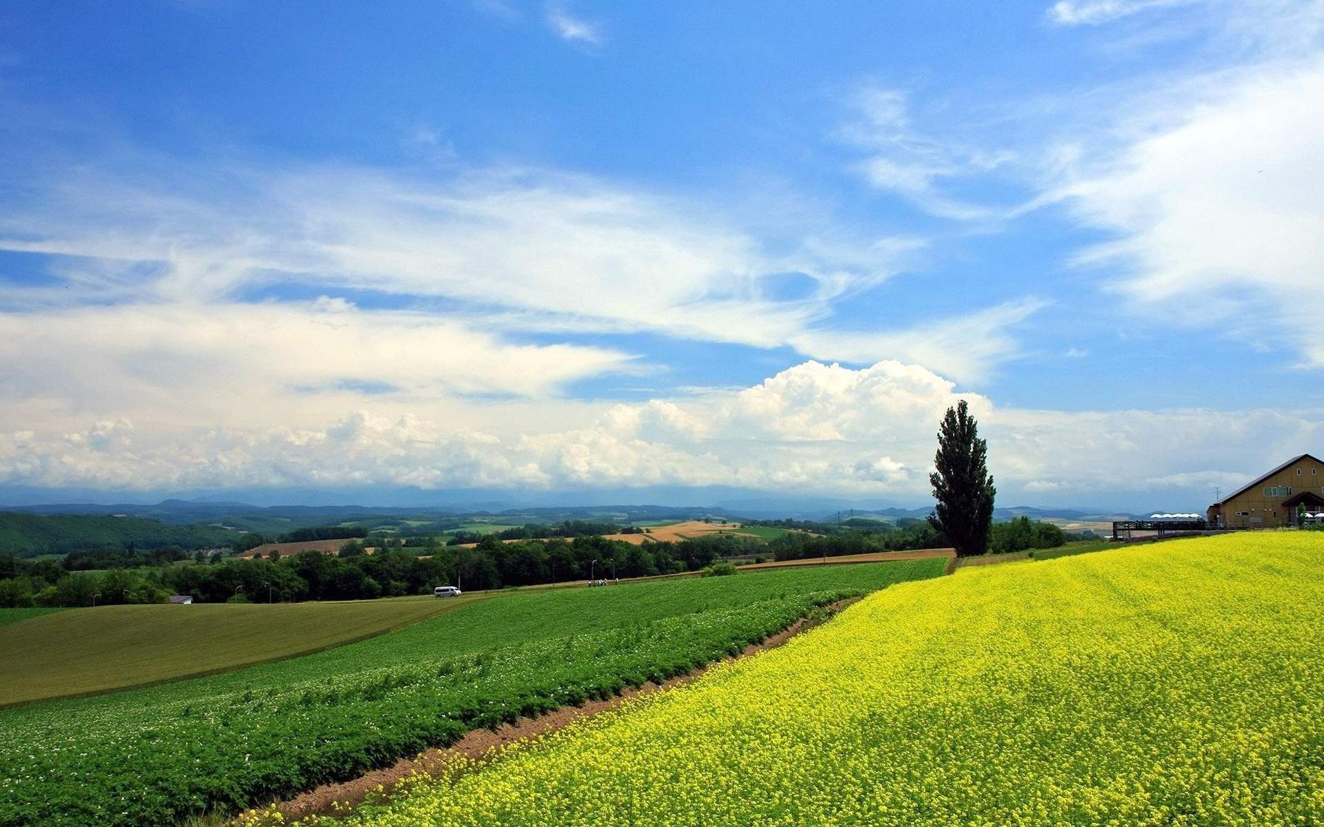 2017年1月自然山水日历壁纸第二辑图片