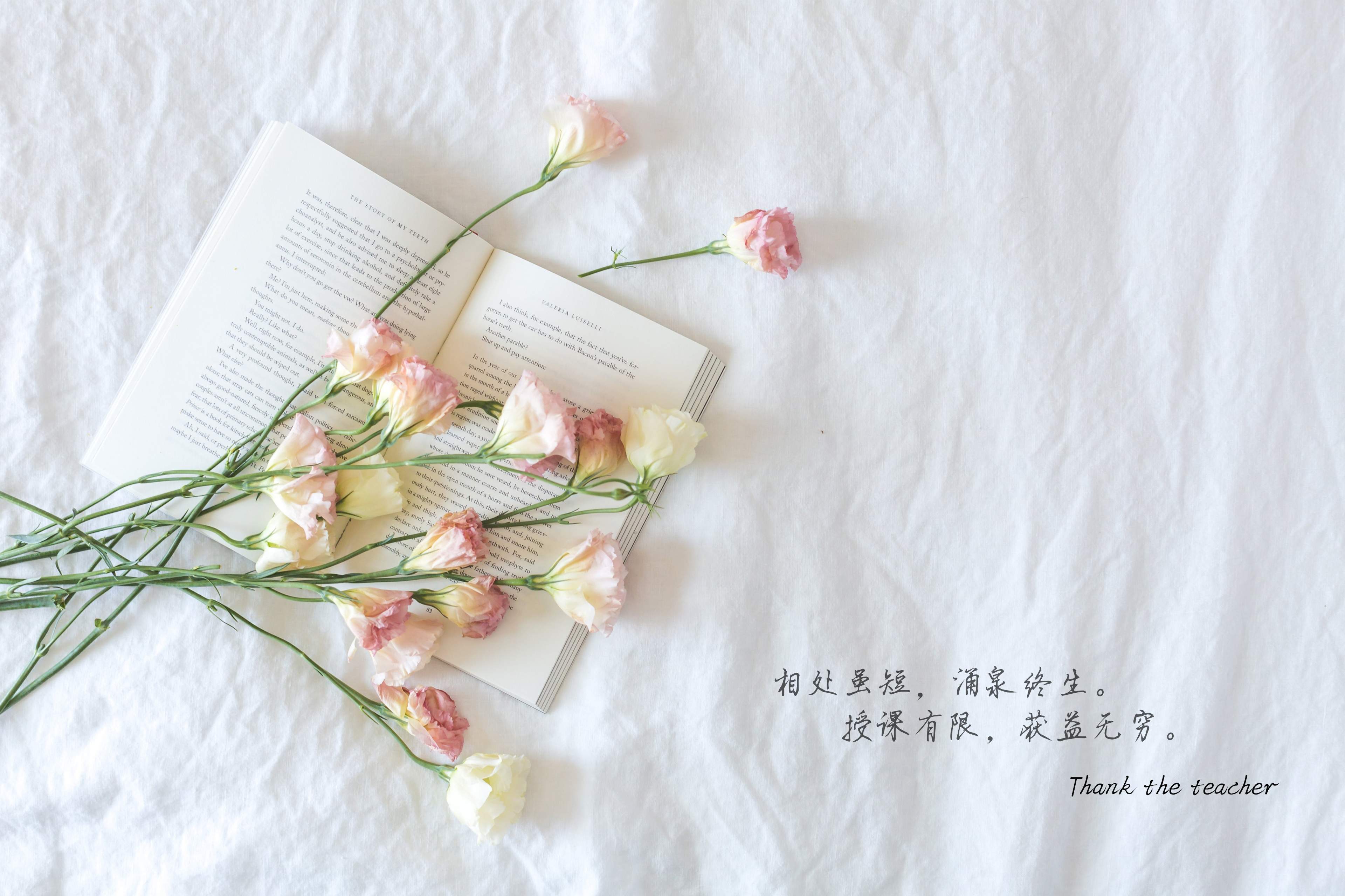 教师节文字语录高清桌面壁纸图片