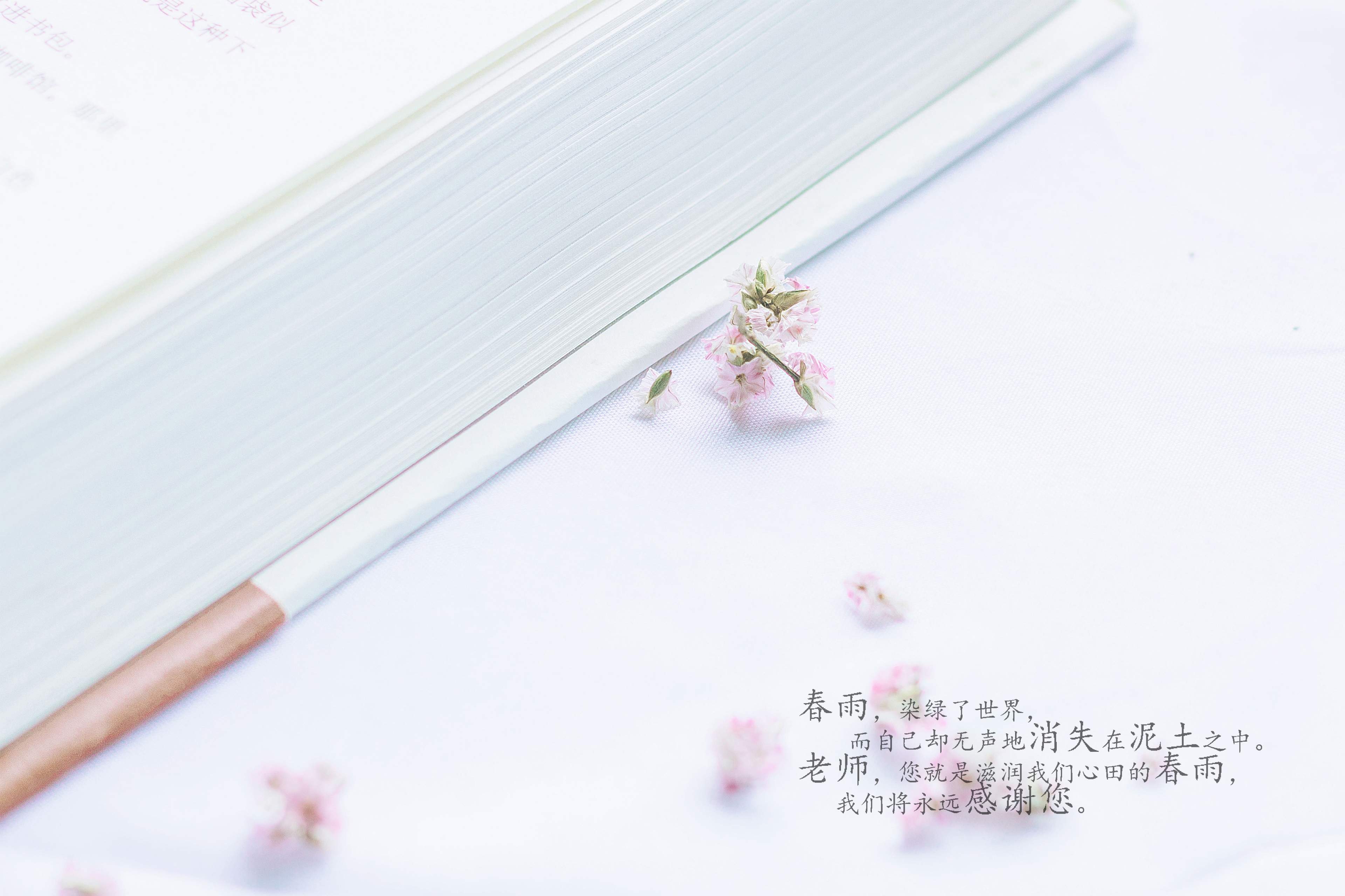 教师节文字语录高清桌面壁纸图片