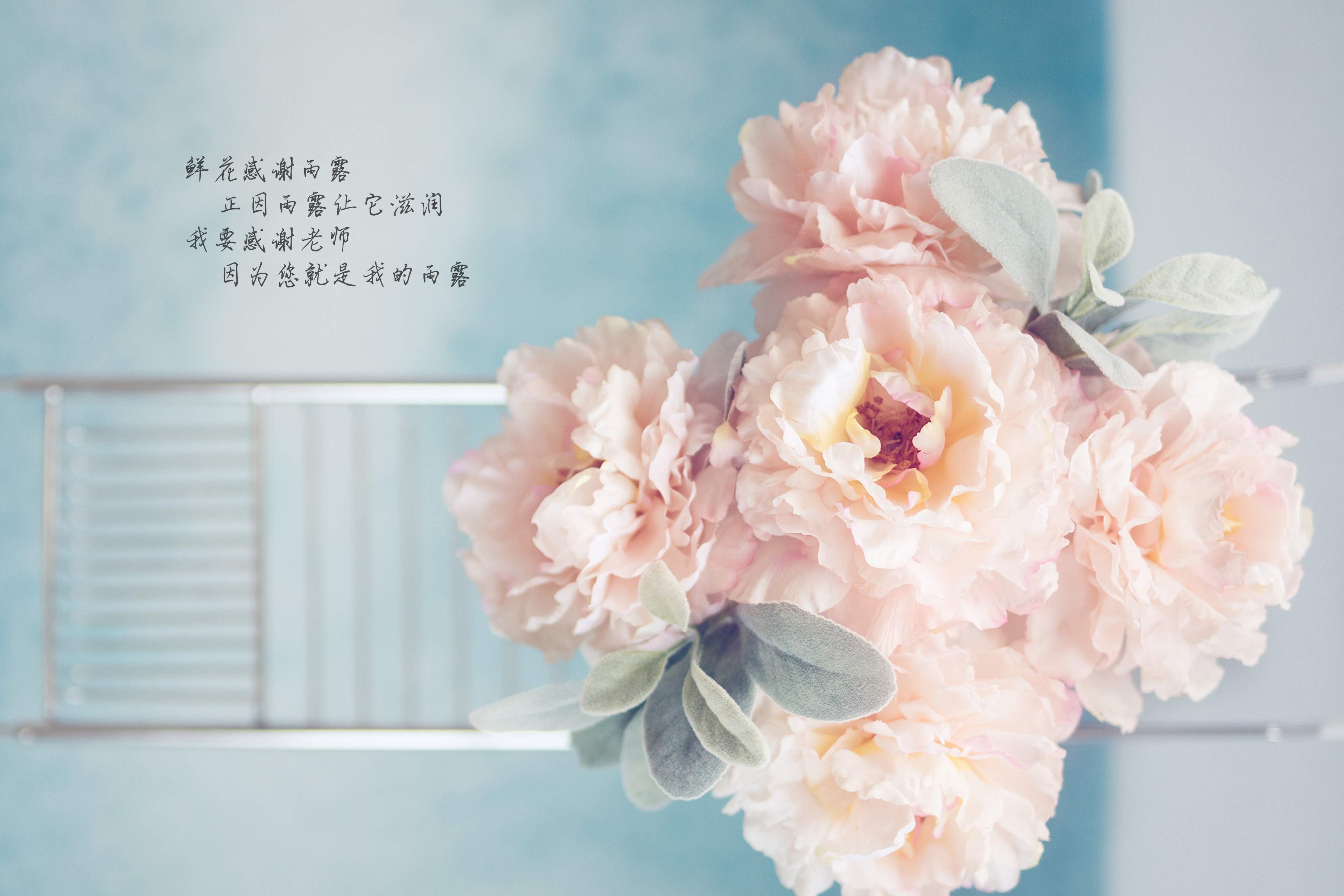 教师节图片