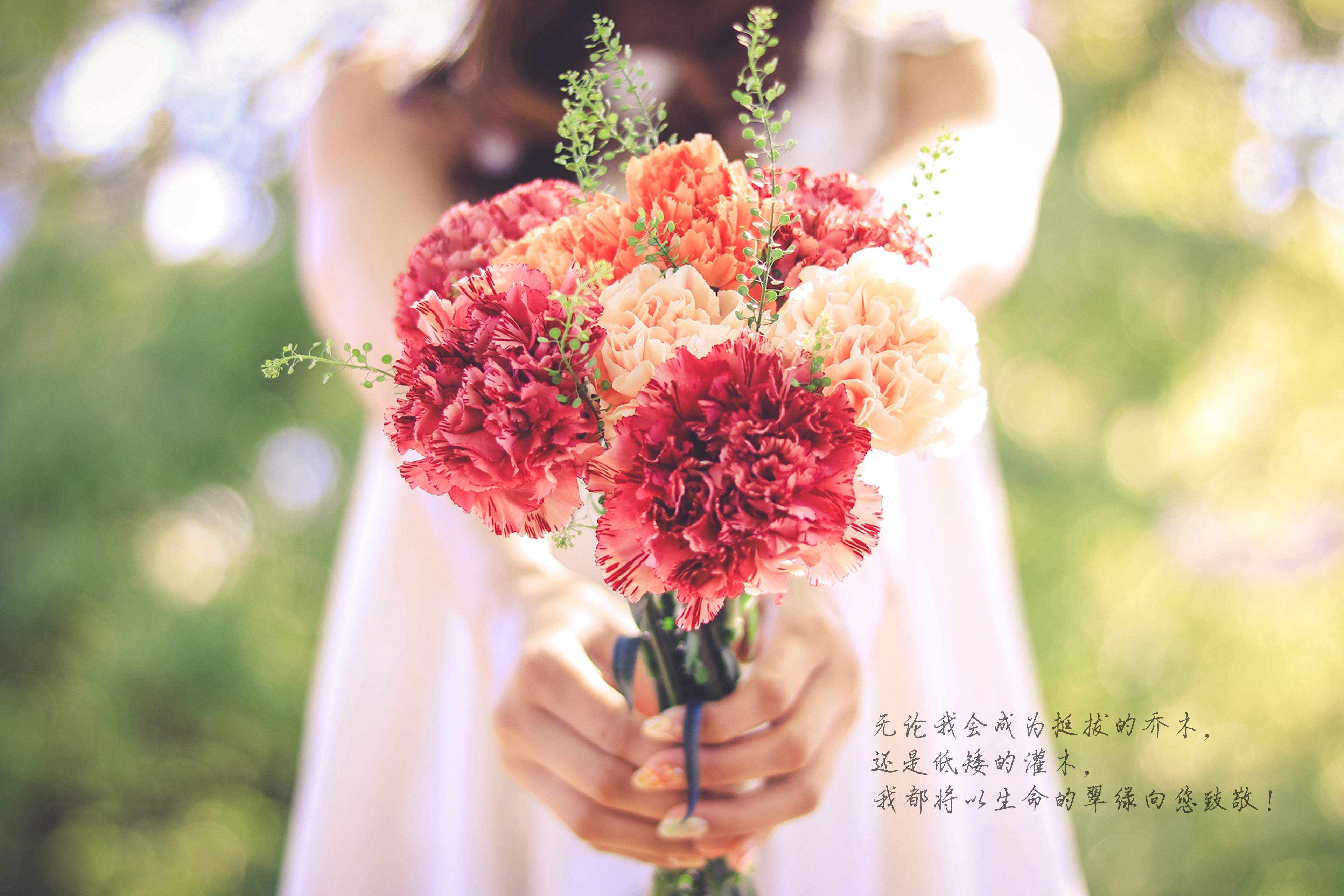 教师节图片