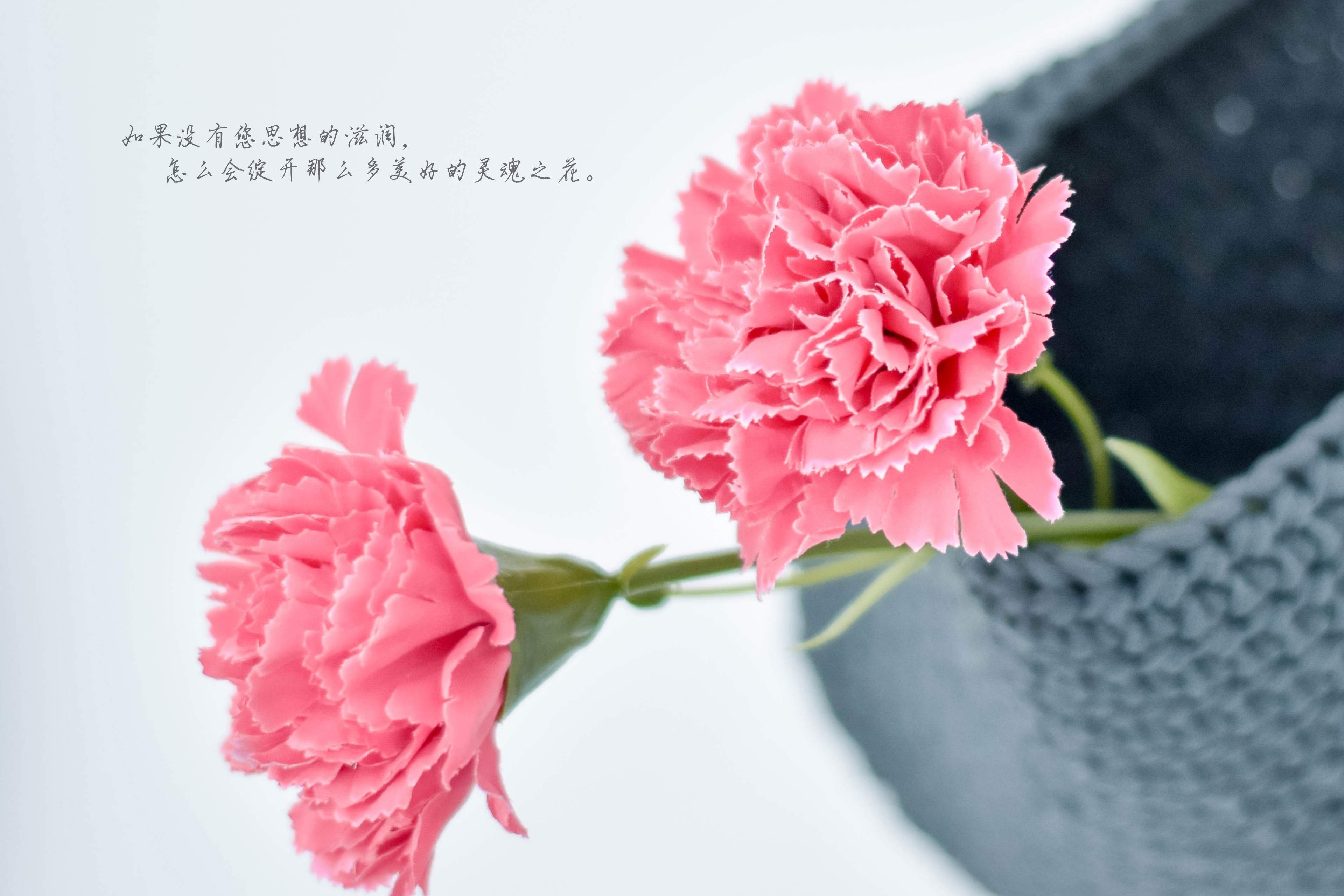 2020年9教师节文字创意日历壁纸图片