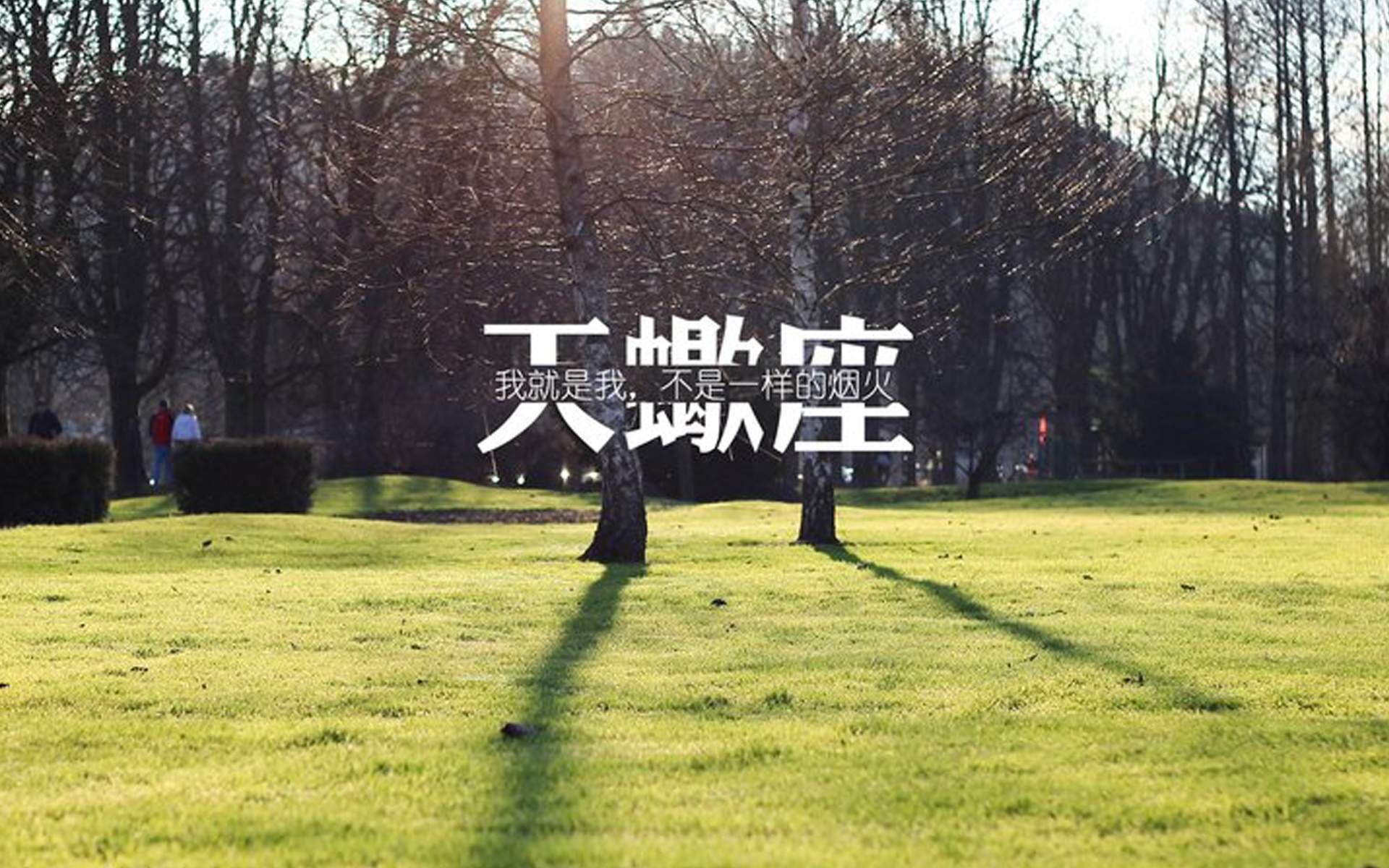 天蝎座图片