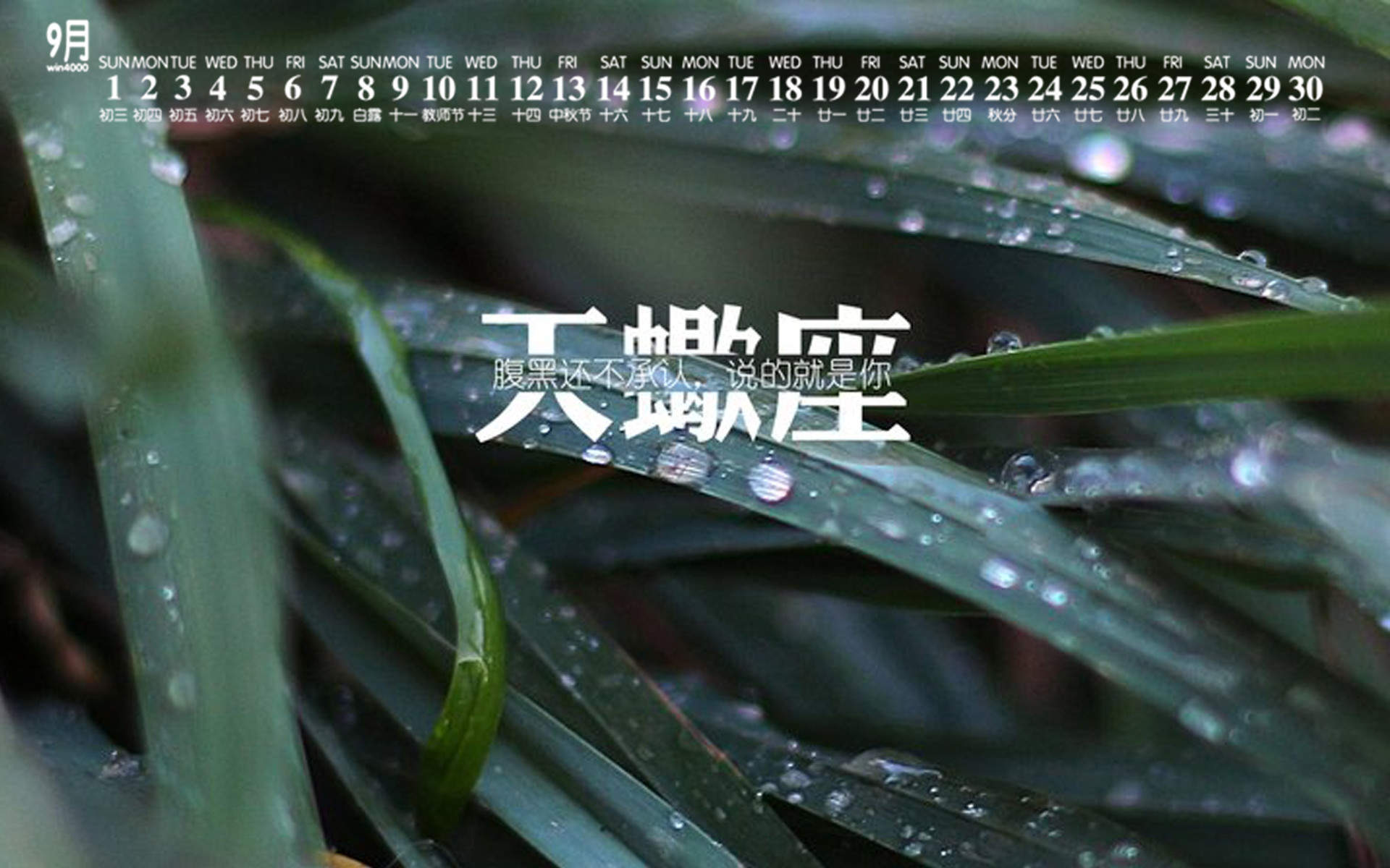 2016年12月日历自然绿色桌面壁纸图片