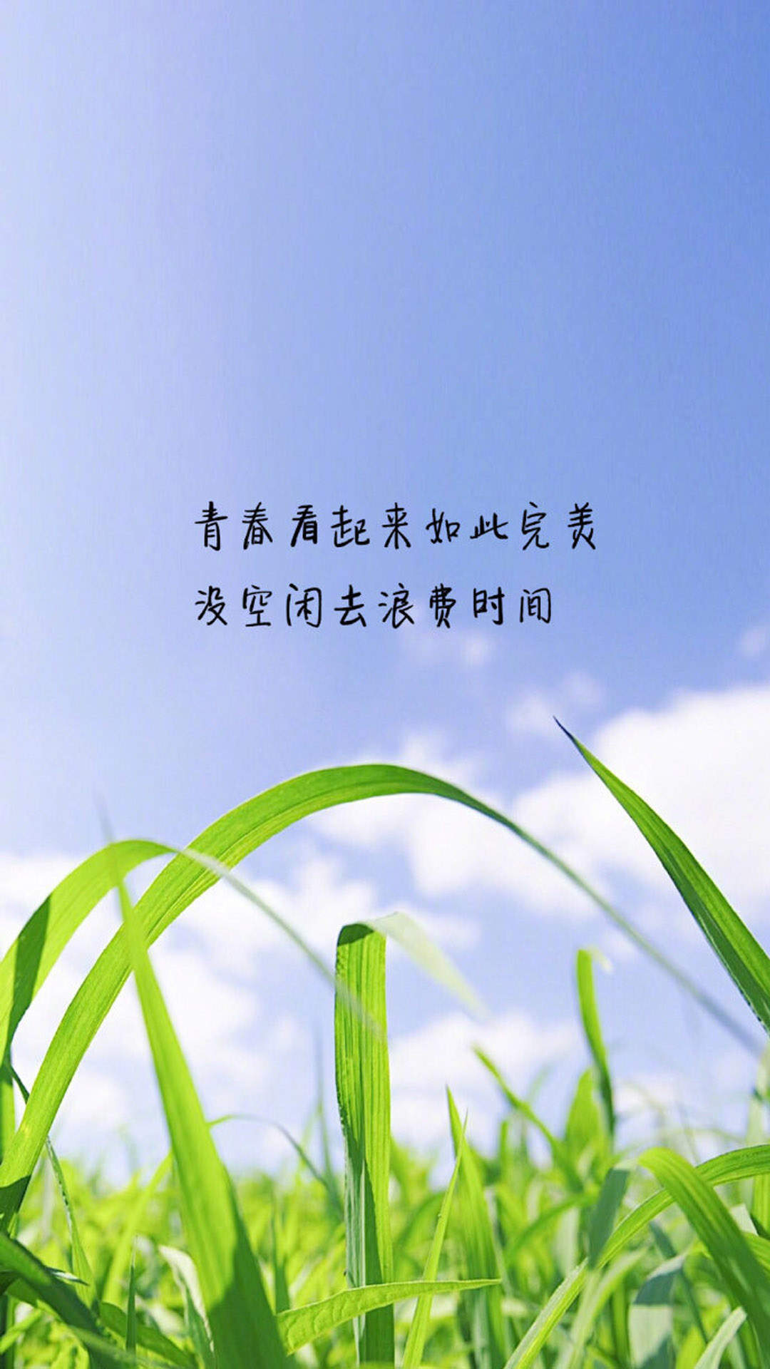唯美意境文字语录图片手机壁纸图片