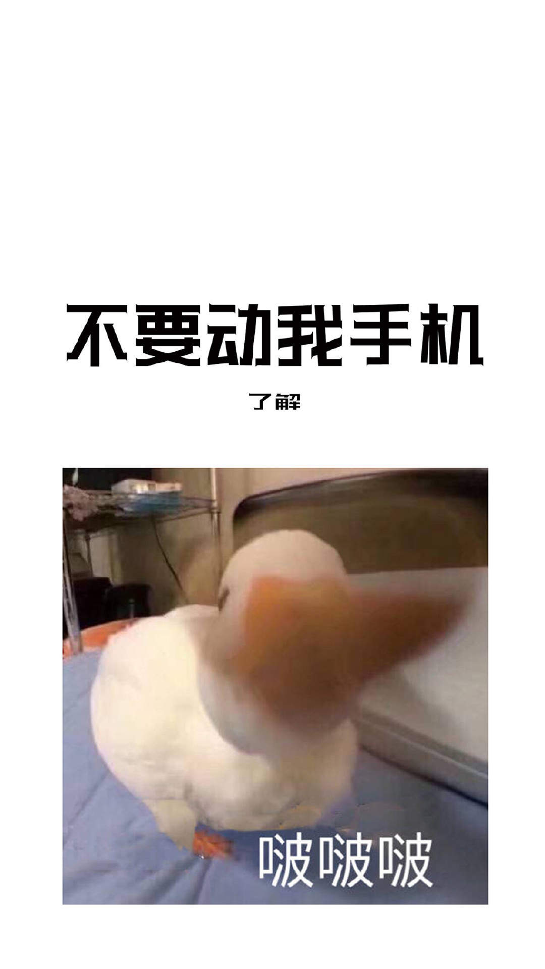 搞笑文字创意图片手机壁纸图片