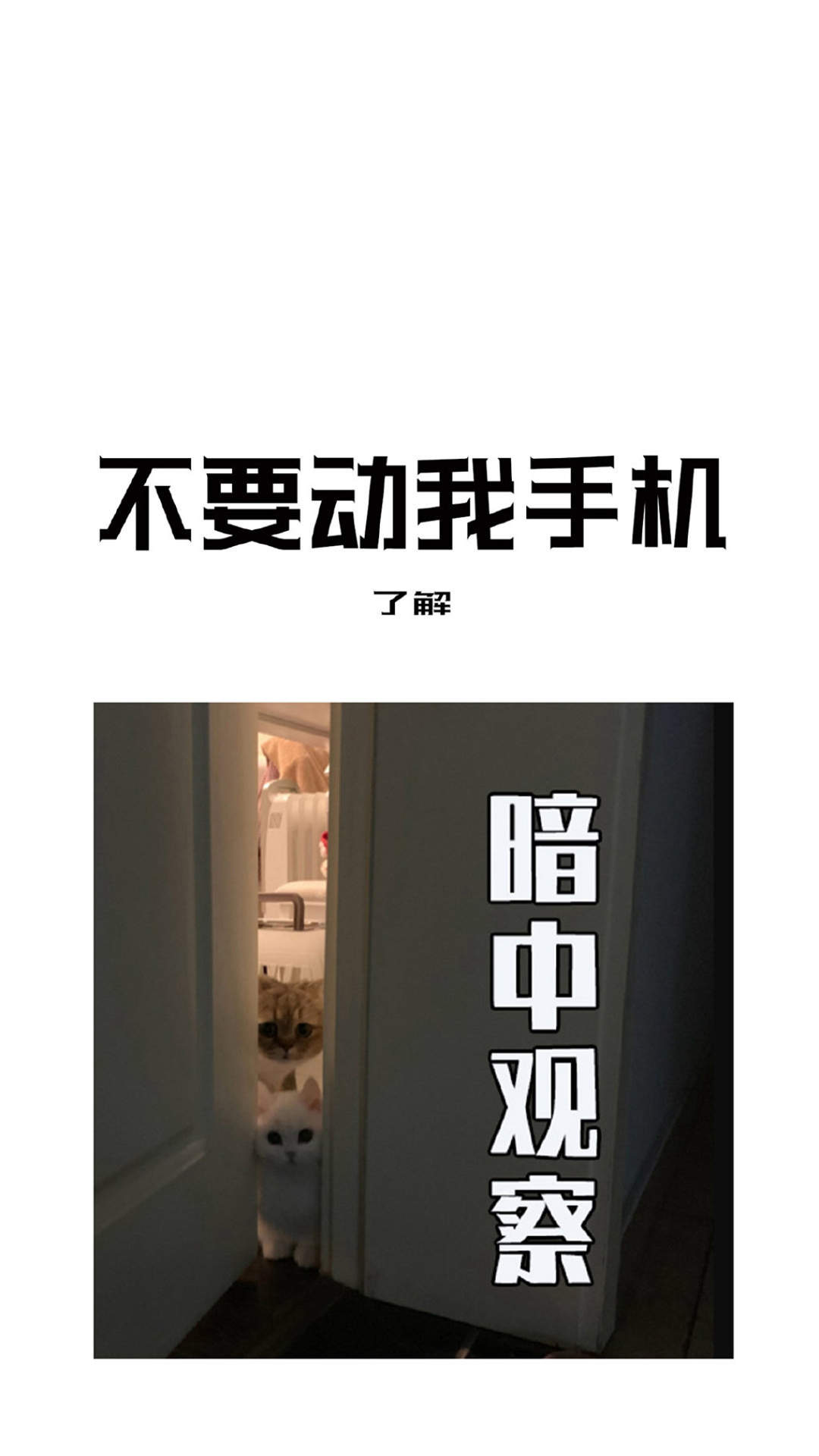 除夕愿望搞笑文字图片图片