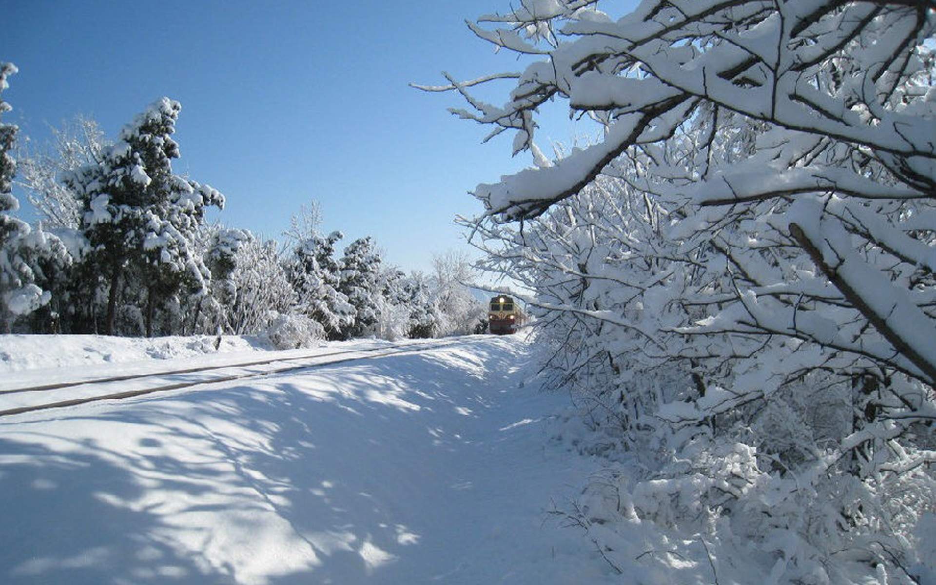 雪景图片