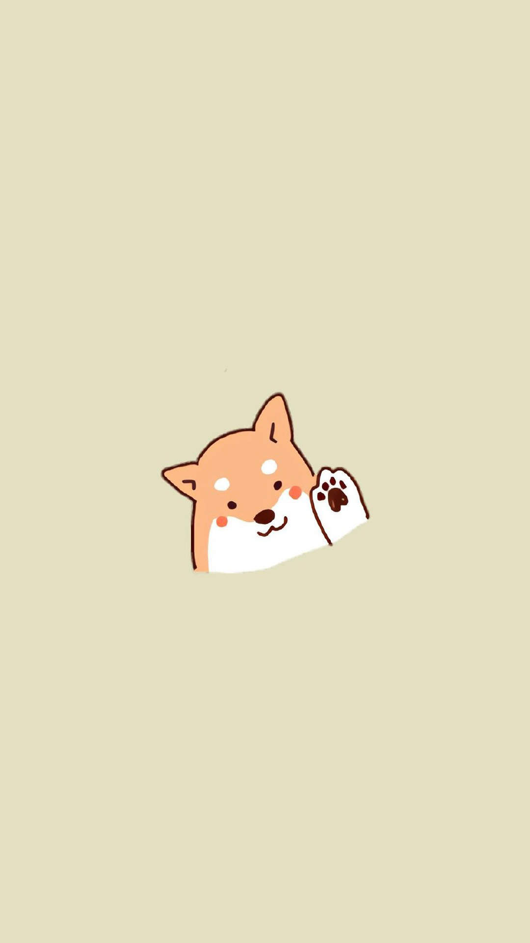 高清蝴蝶犬图片之可爱的小狗十二生肖狗图片图片