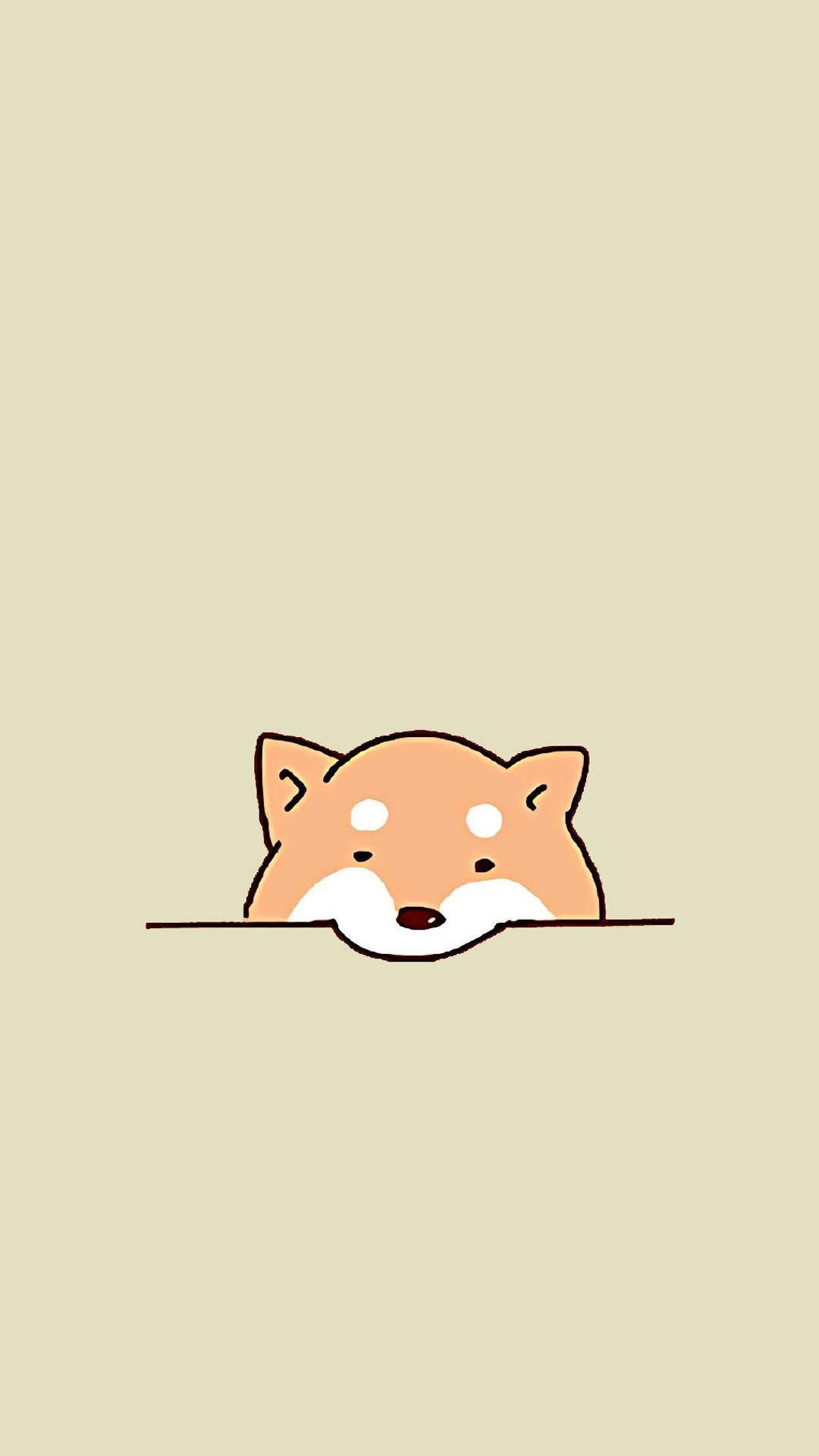 高清蝴蝶犬图片之可爱的小狗十二生肖狗图片图片