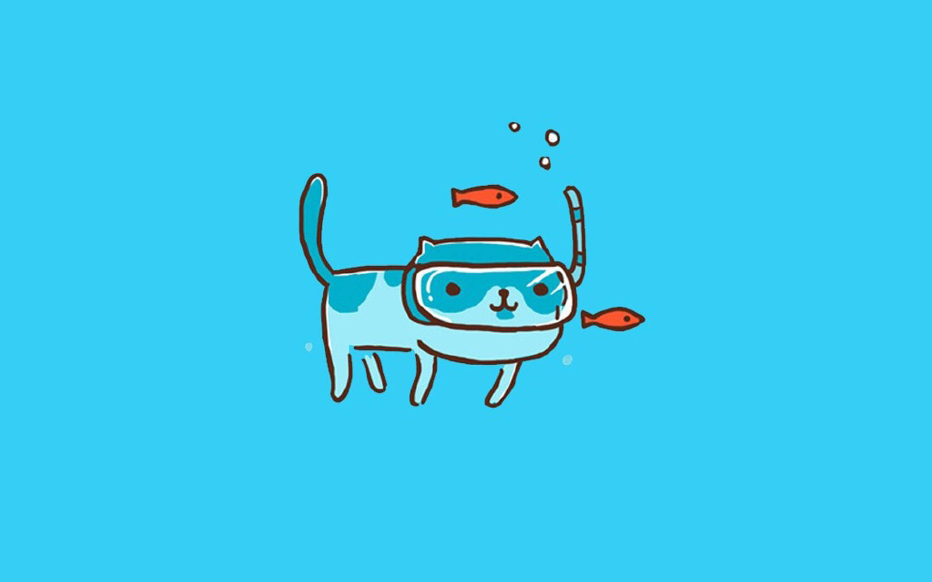 小猫图片