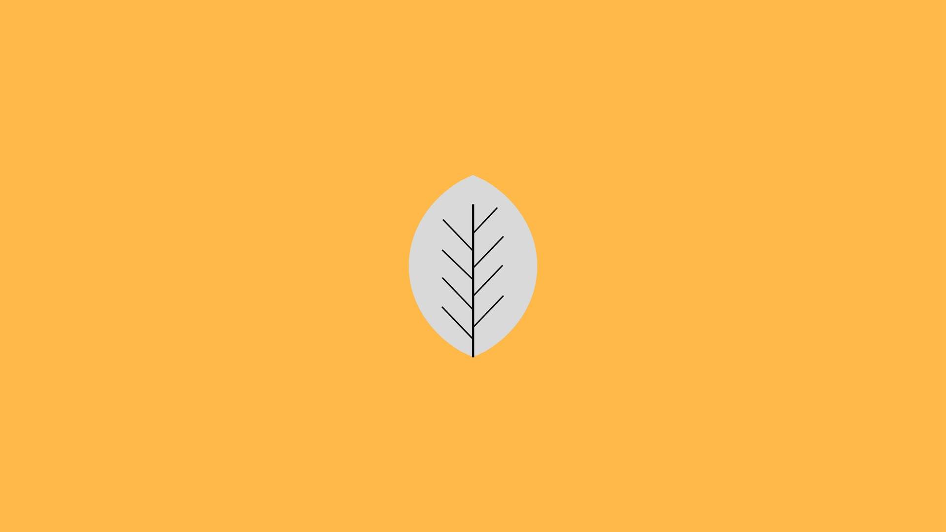 创意桌面图片