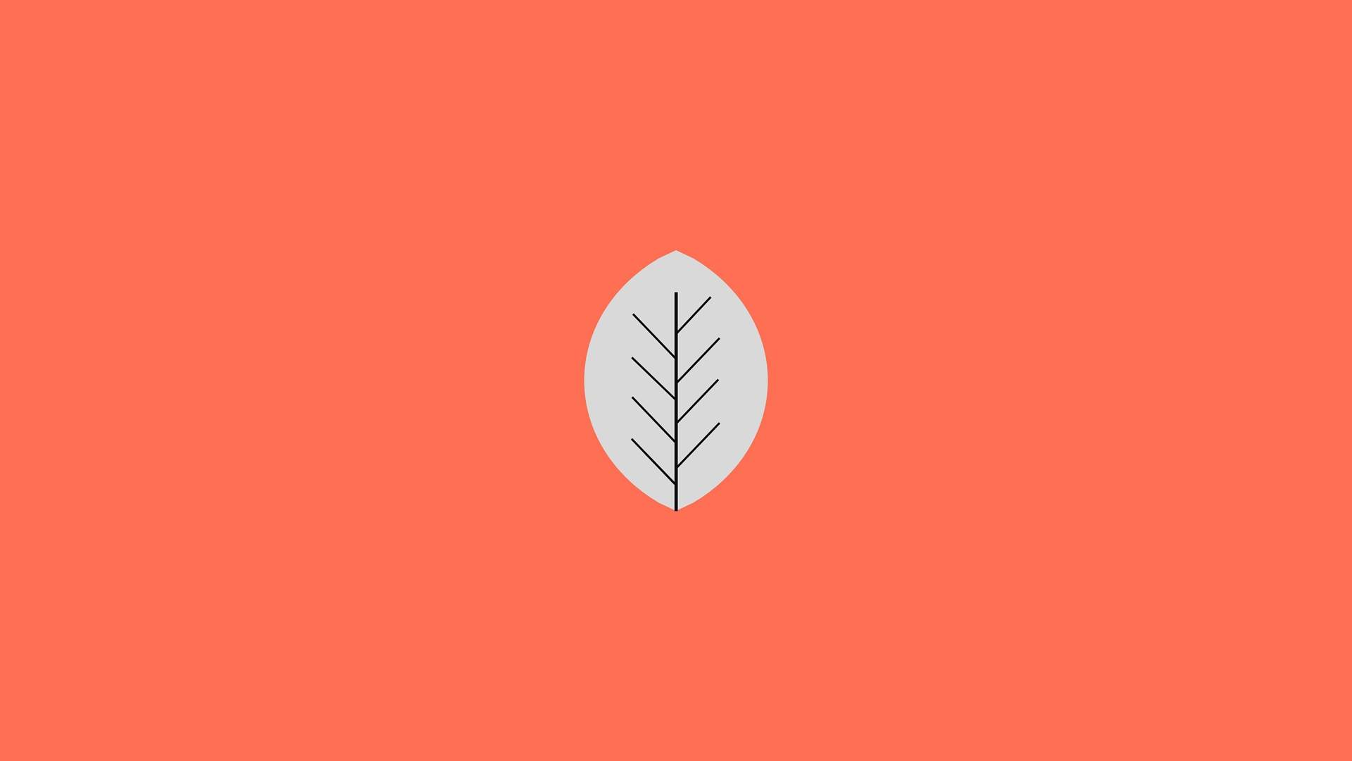 3D炫彩设计创意桌面壁纸图片