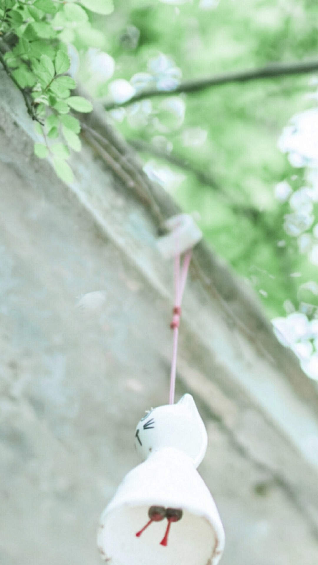绿色植物图片