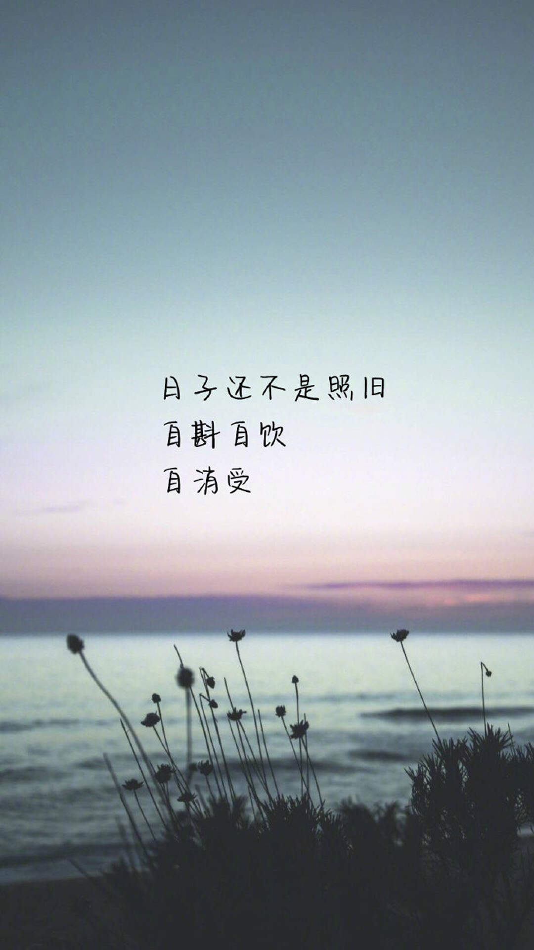 精选唯美伤感文字语录桌面壁纸图片