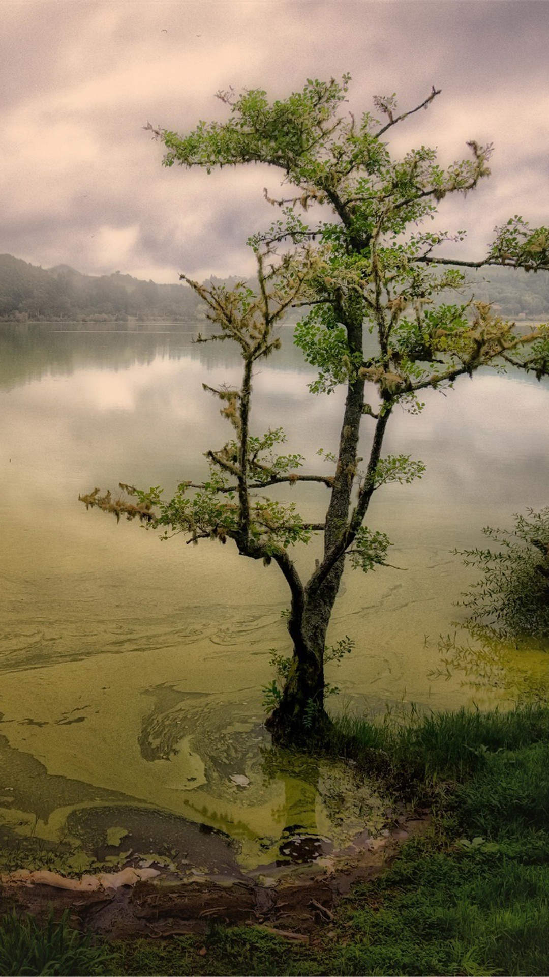 山水风景图片