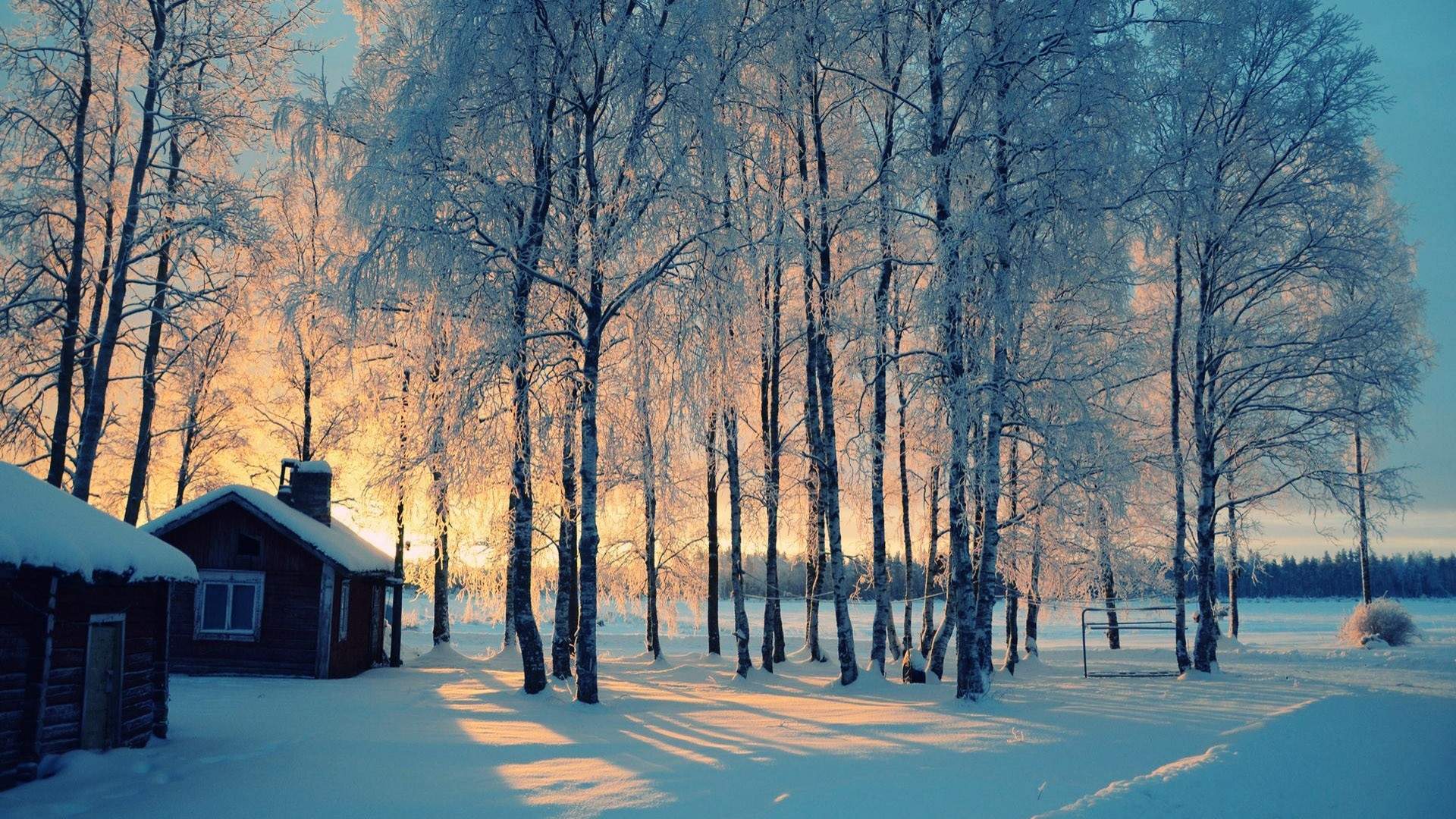 雪景图片