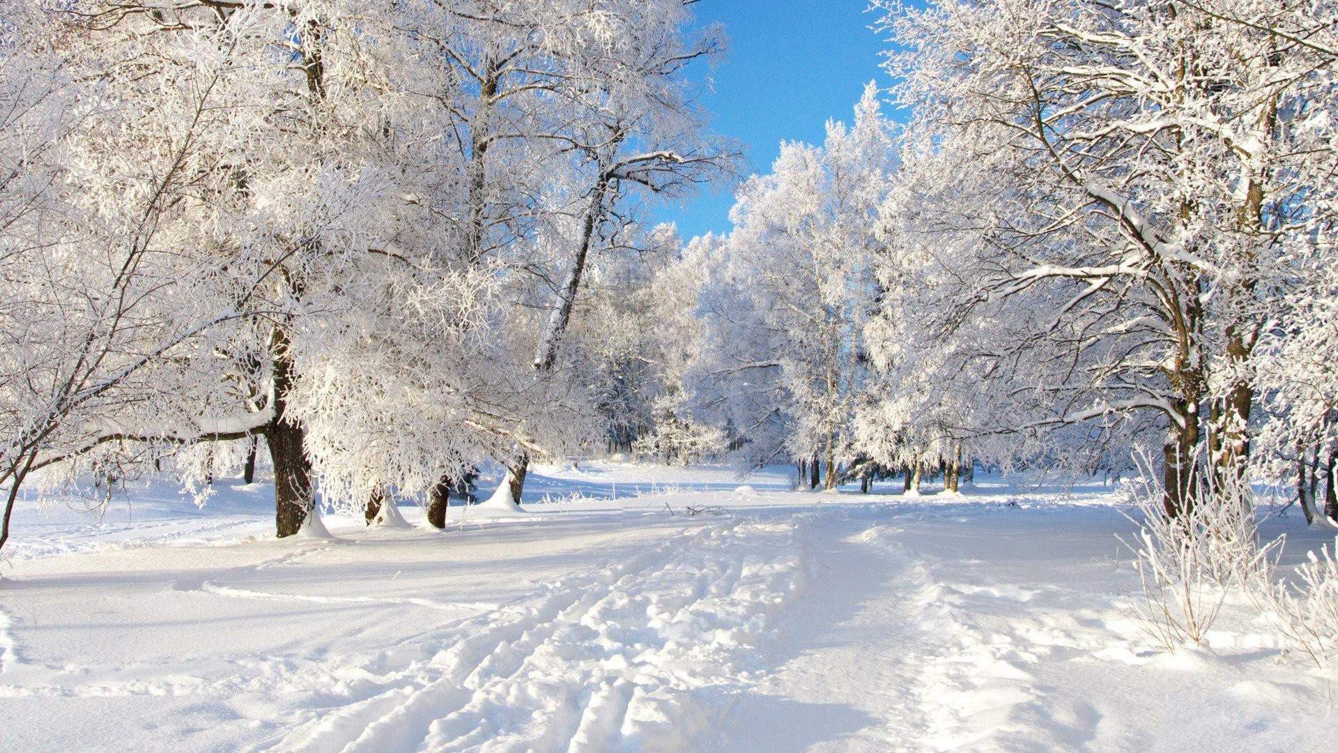 雪景图片