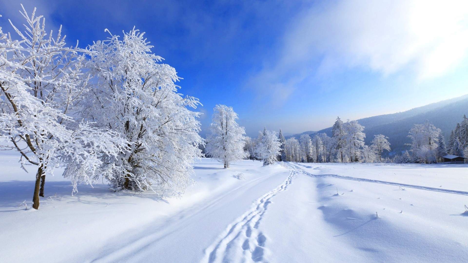雪景图片