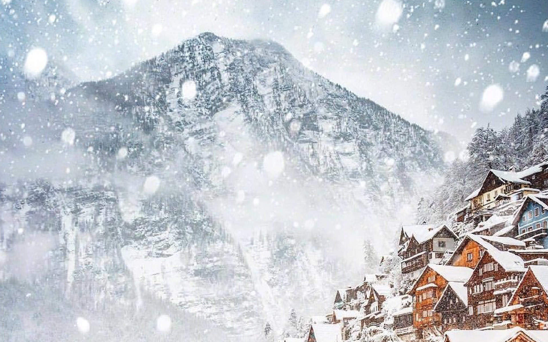 雪景图片