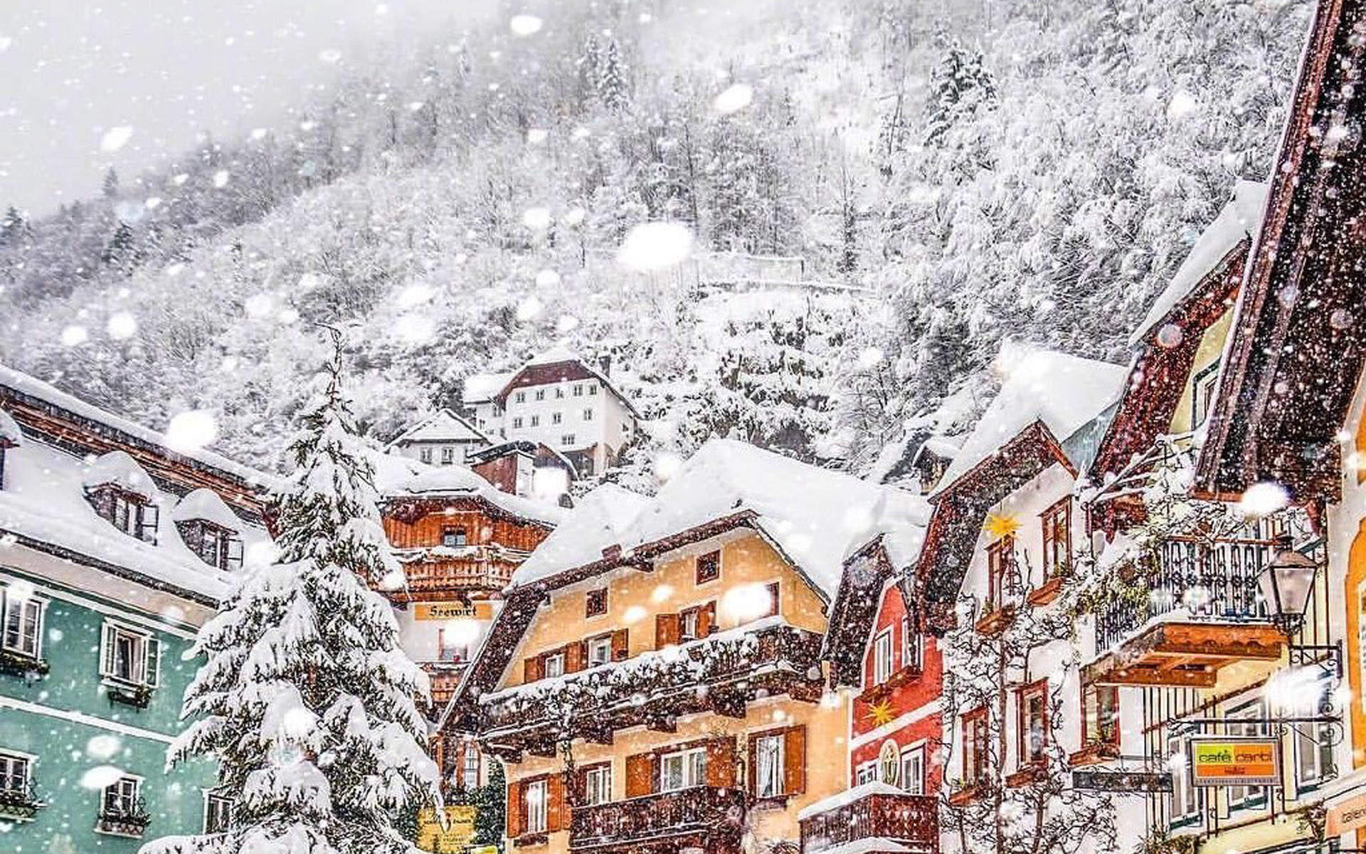 雪景图片