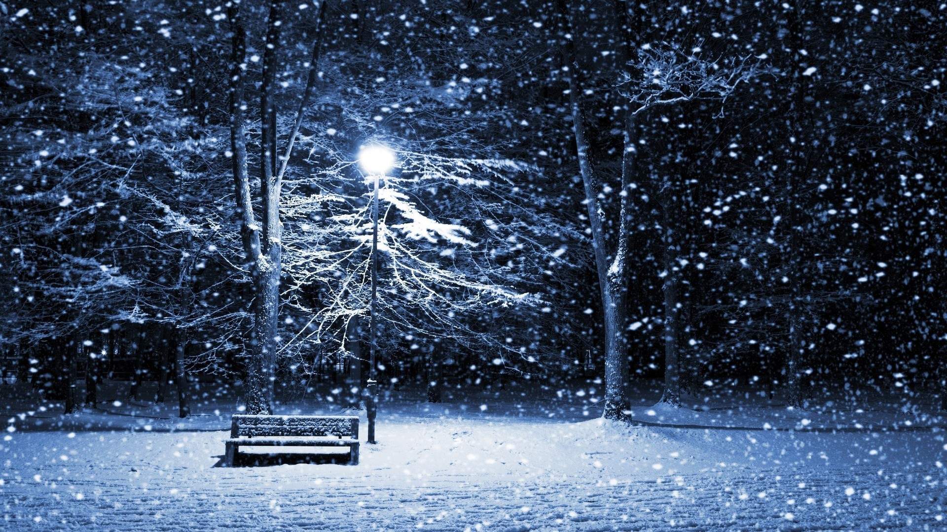 雪景图片