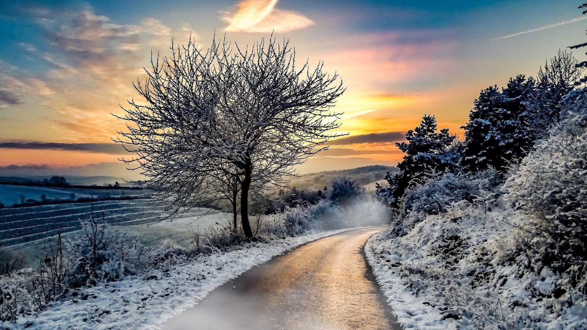 雪景图片