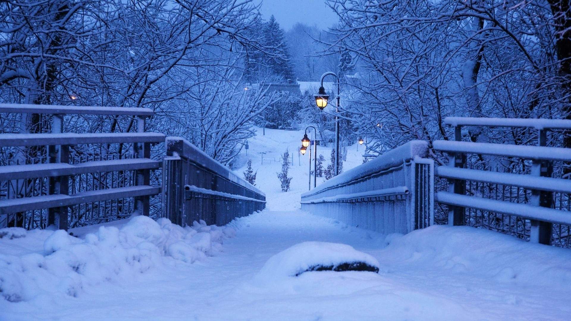 雪景图片