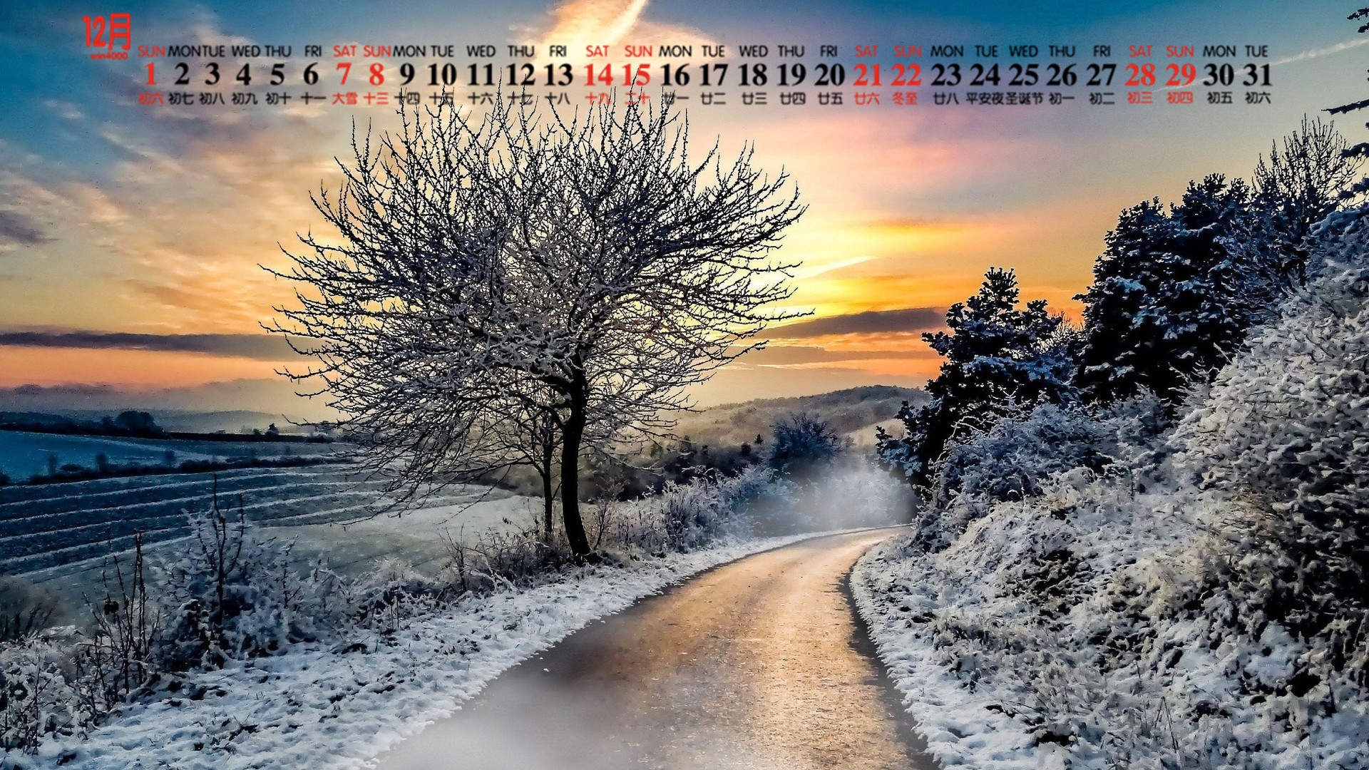 郑秀妍日本函馆冬日雪景唯美写真图片图片