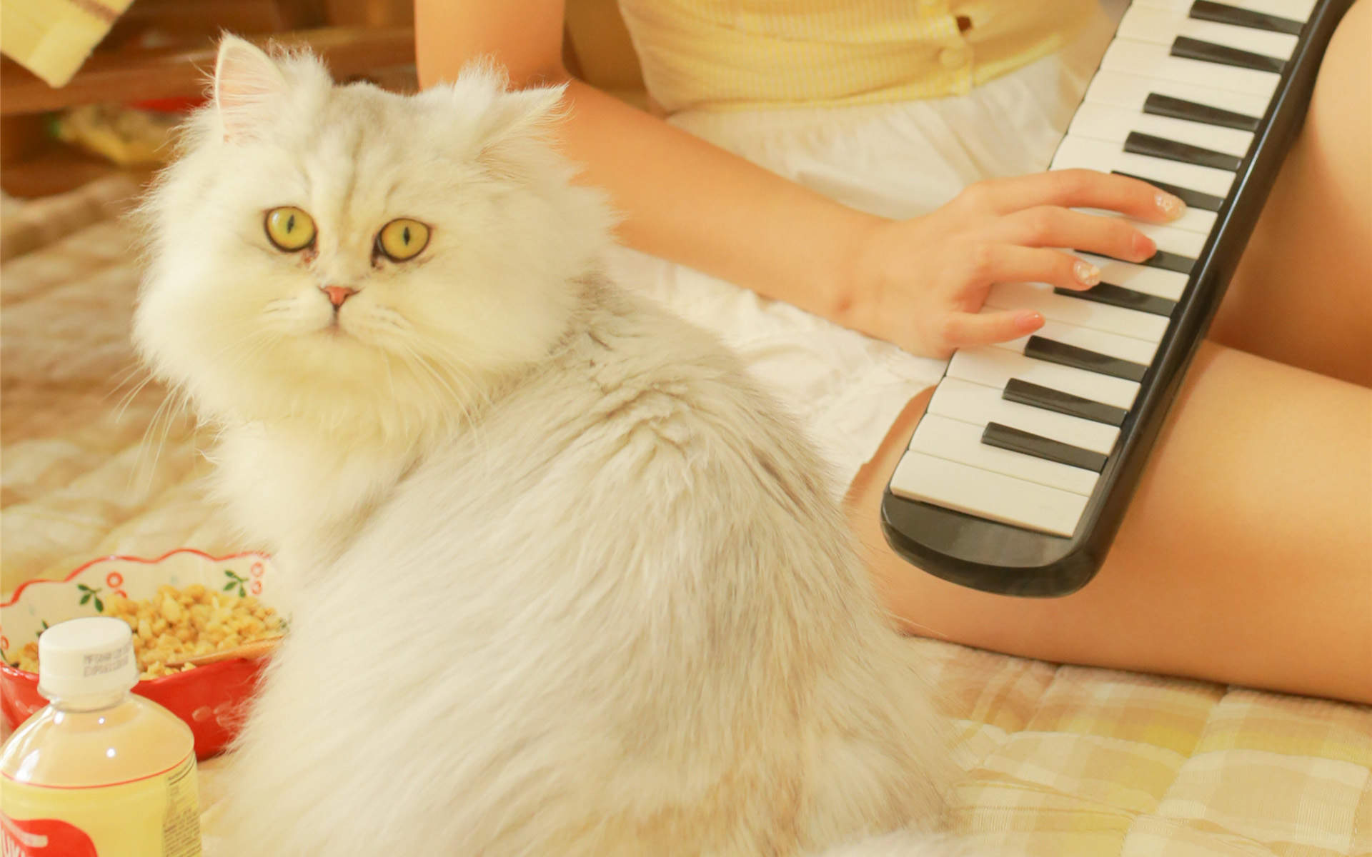 90后性感小猫咪写真图片