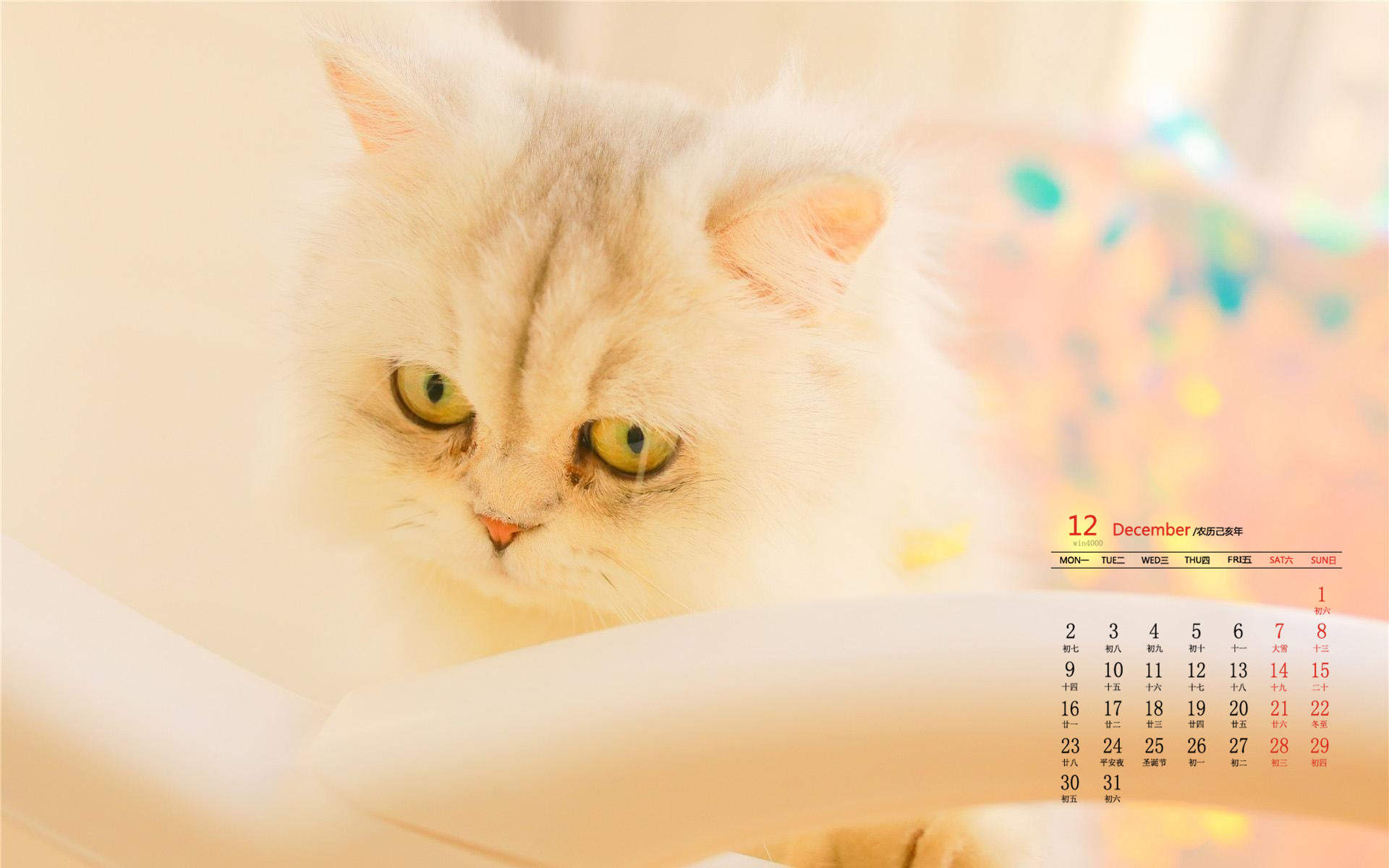 周放《大江大河》程小猫可爱表情包图片