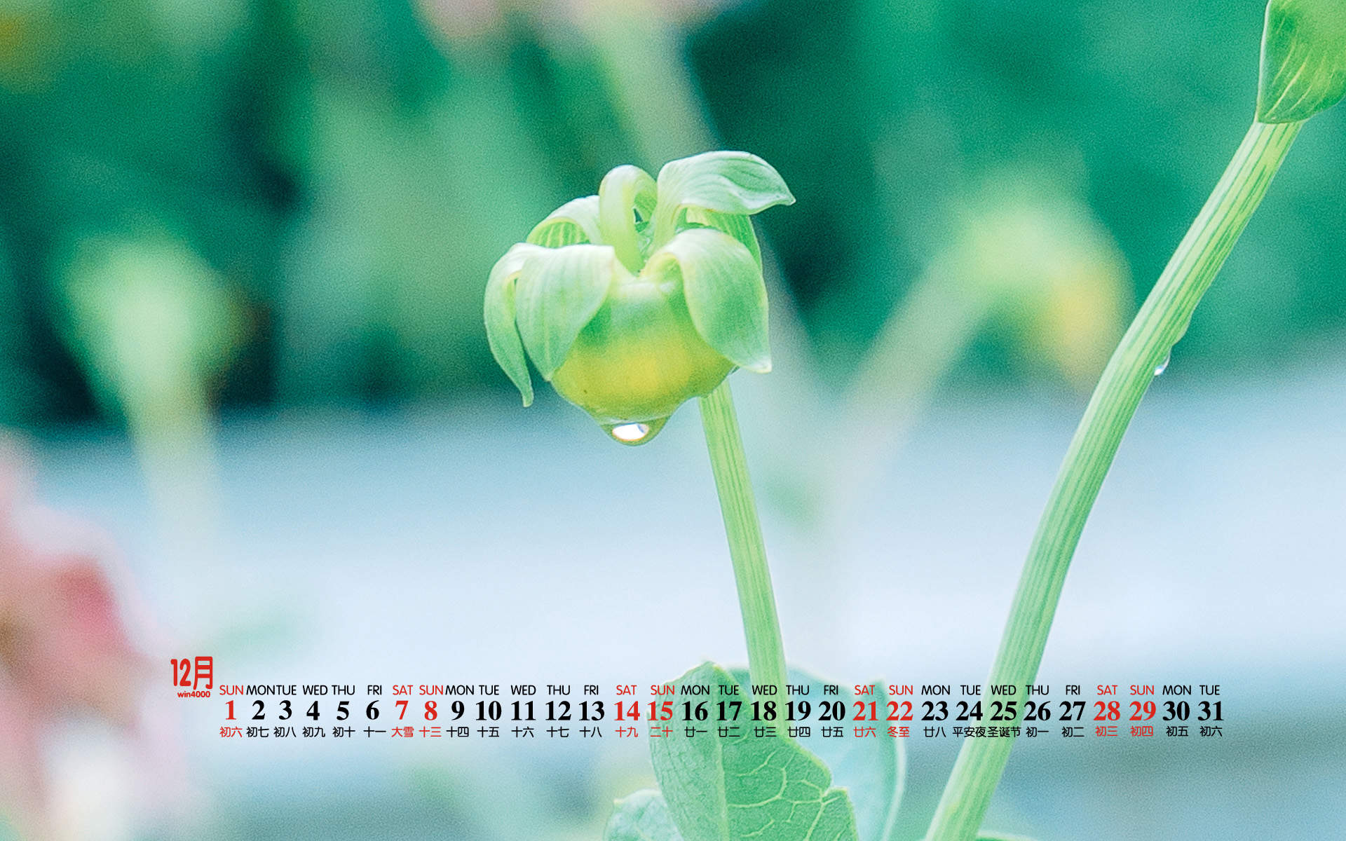 2019年12月文艺小清新绿色桌面日历壁纸图片