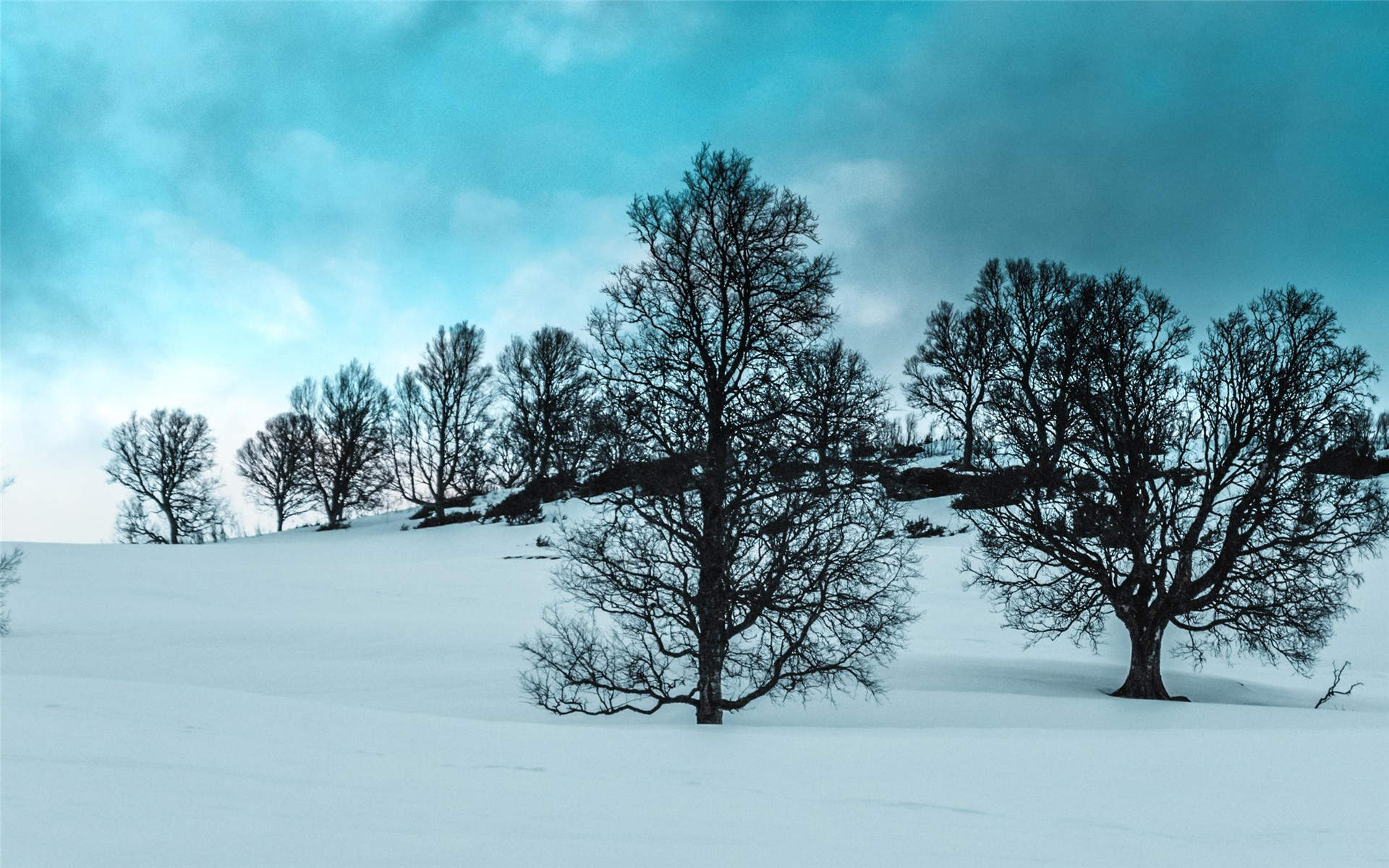 雪景图片
