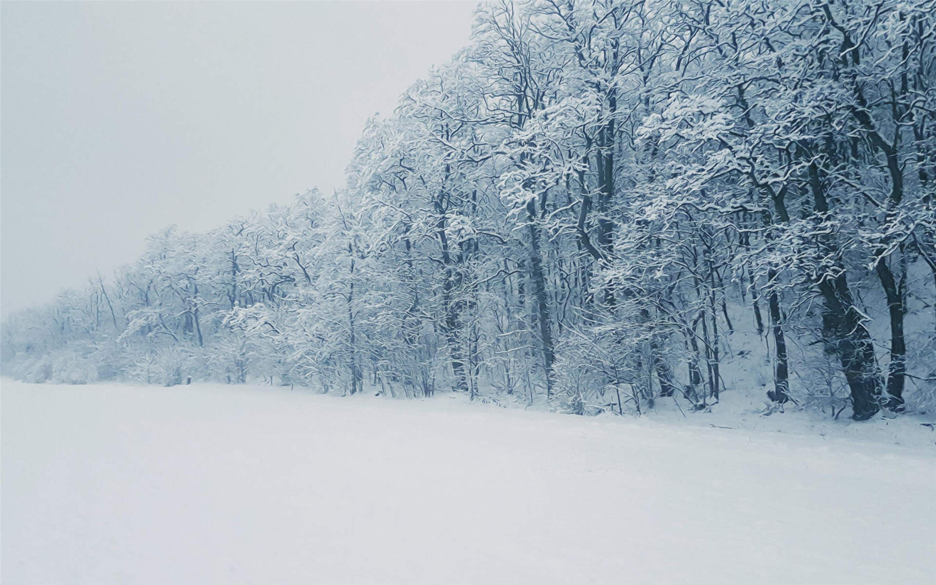 雪景图片