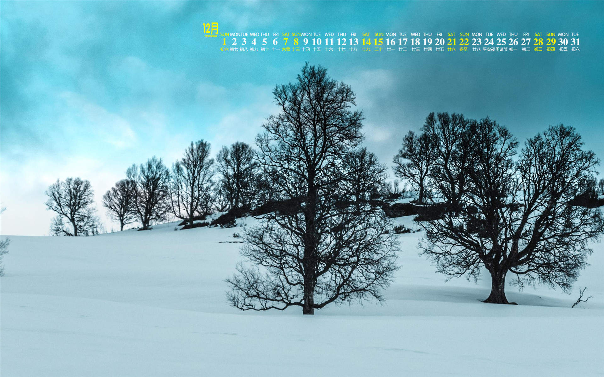 雪景图片