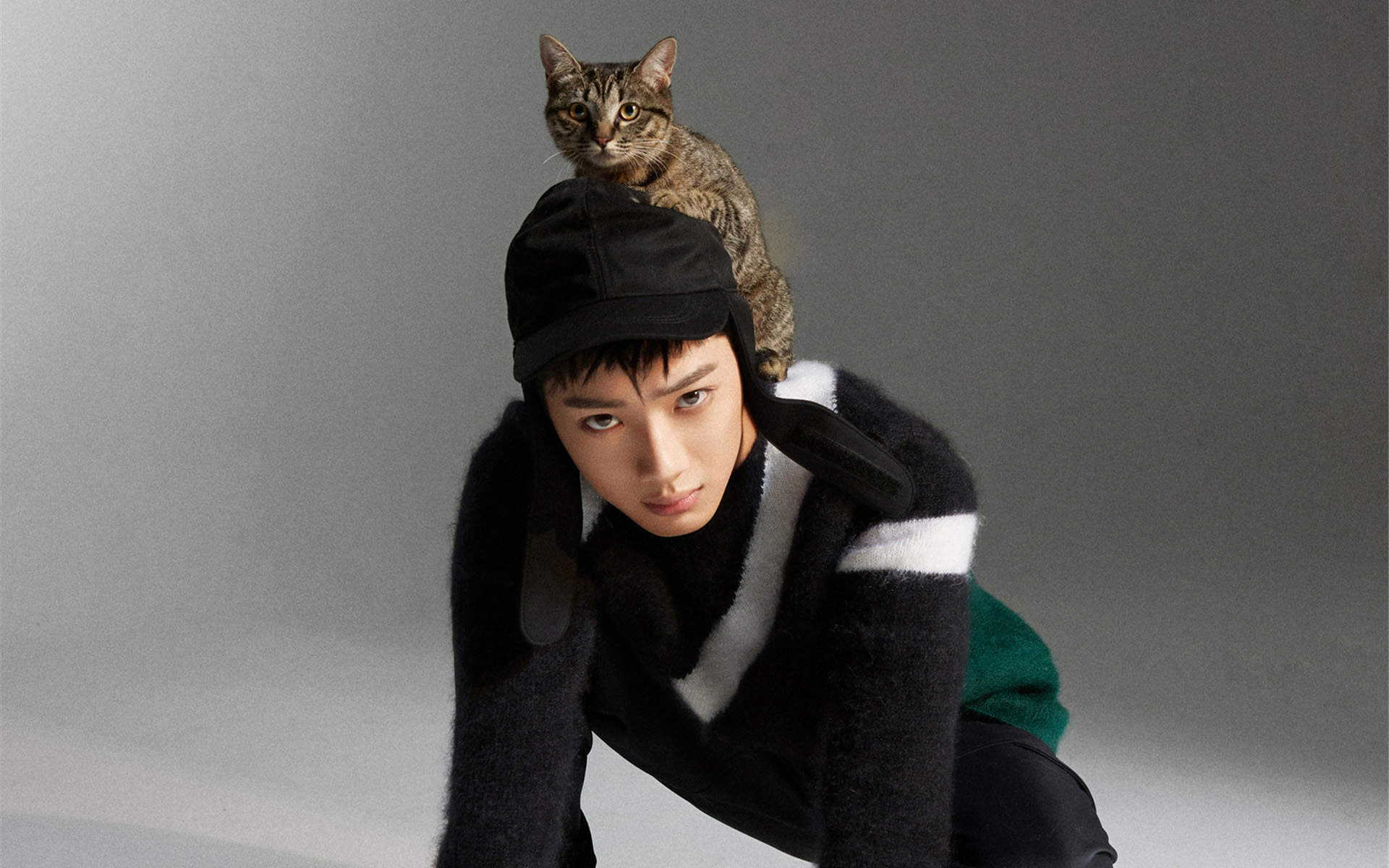 高清男明星赖冠霖帅气舞台照图片图片