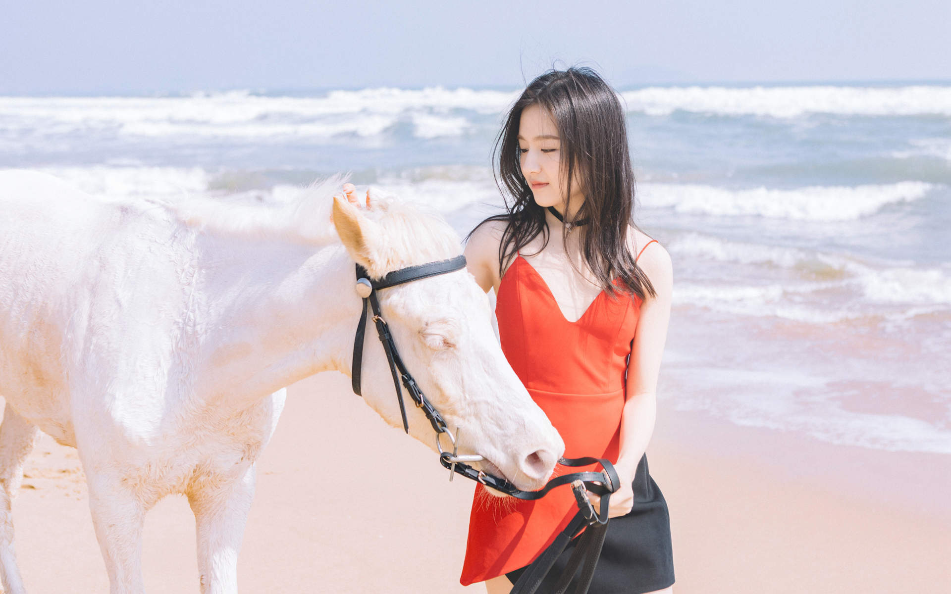 旧金山海边的浪漫情人节图片