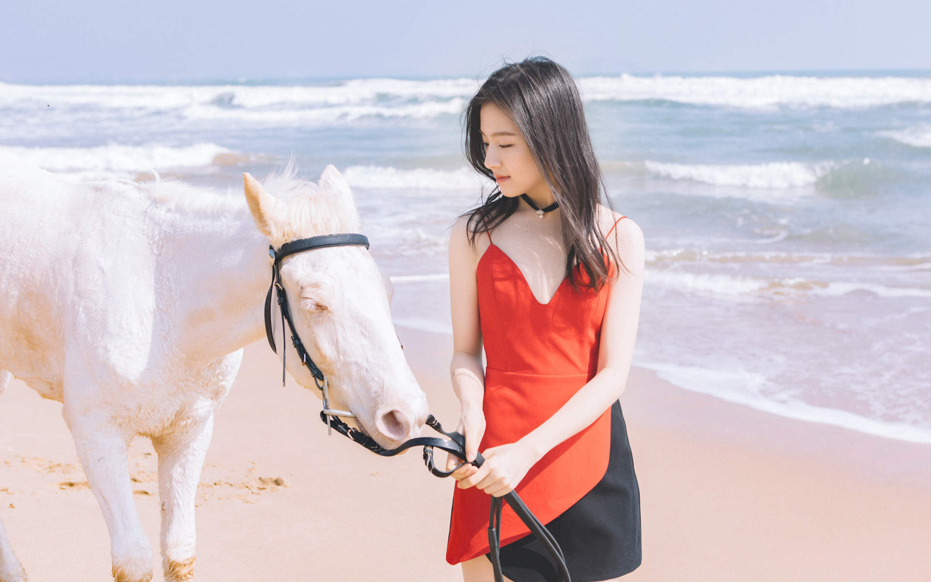 旧金山海边的浪漫情人节图片