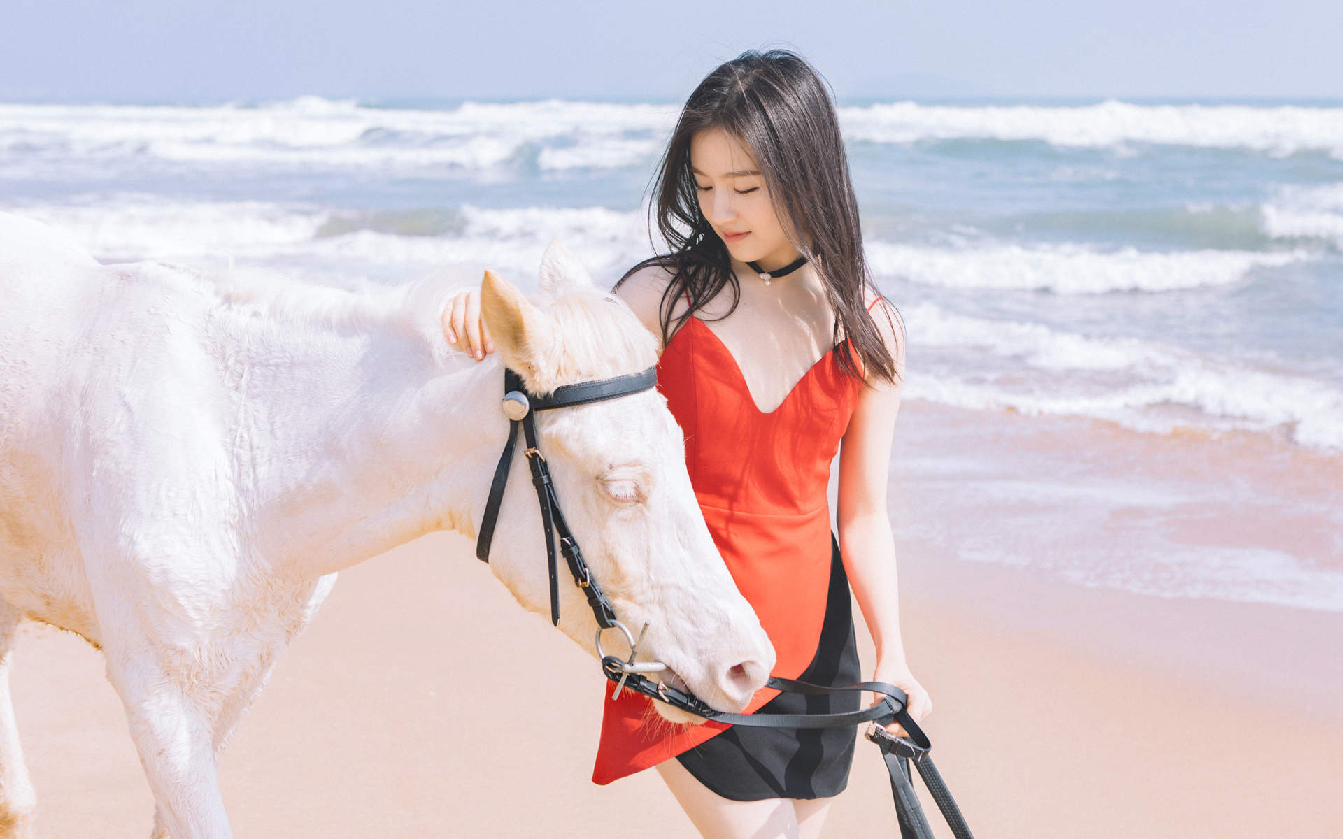 旧金山海边的浪漫情人节图片